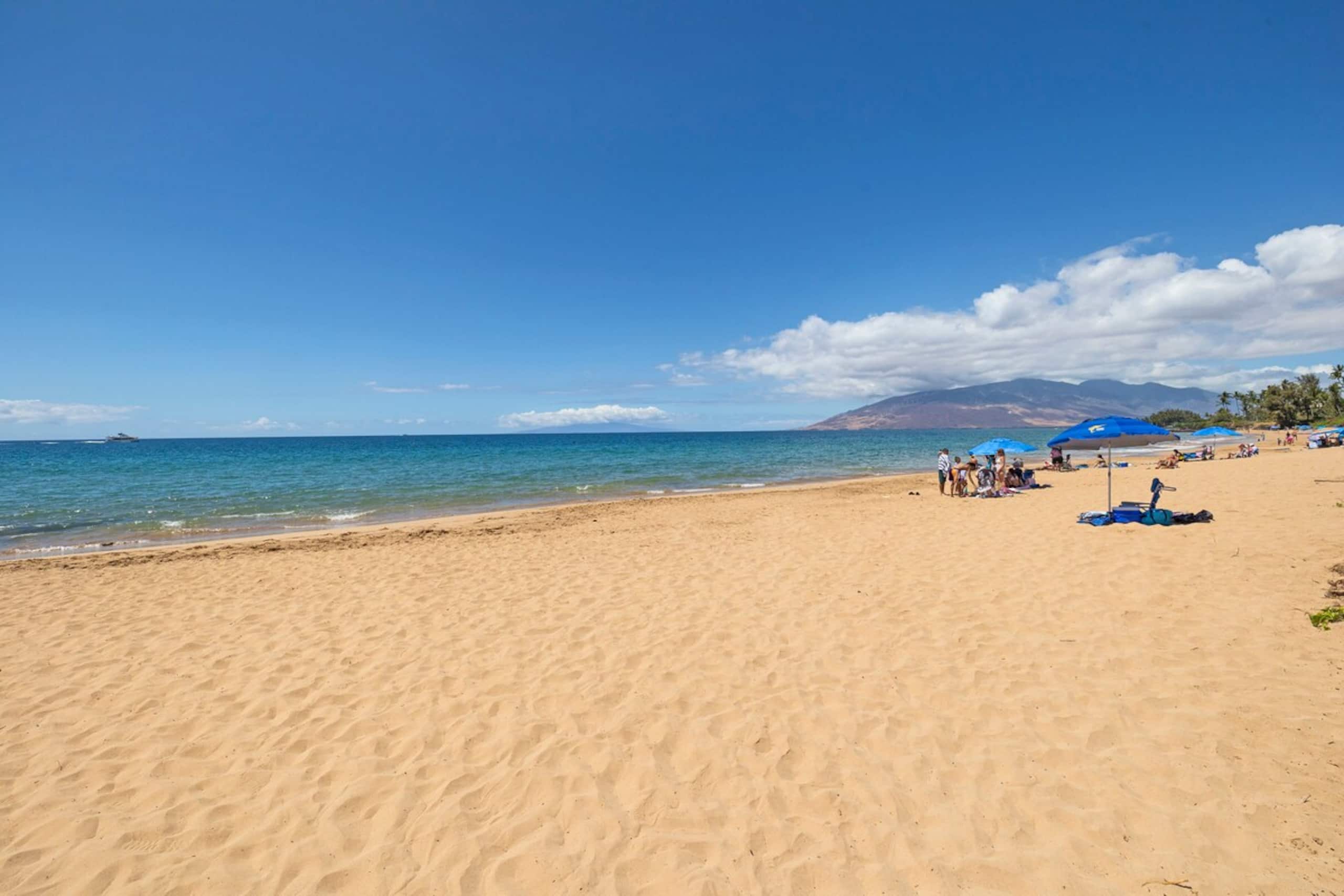 Luxury 2bd2bth Ocean View Kihei Maui Beach Condo - Photo 3