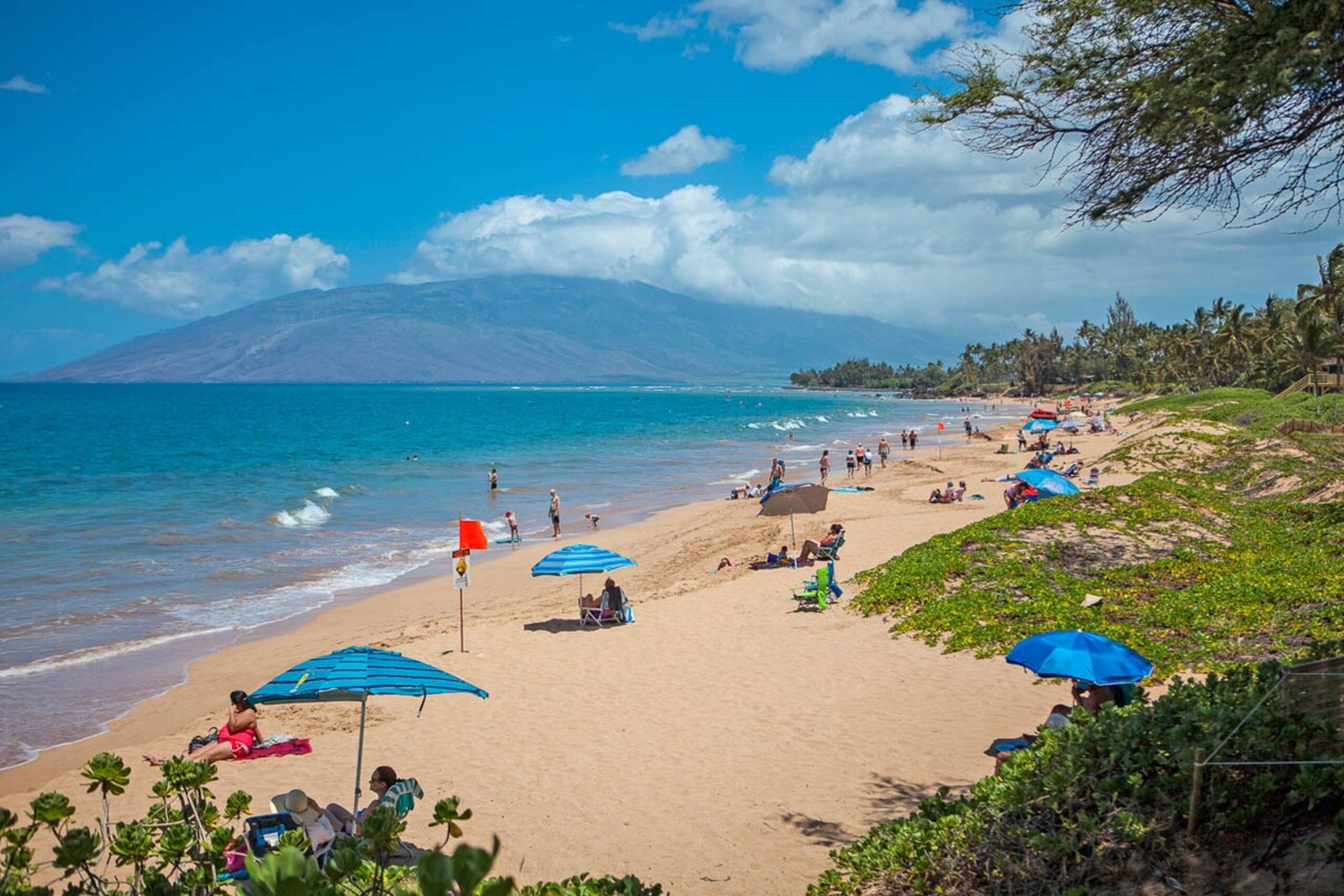 Beachfront 2BR condo w/ pool and lanai - Photo 54