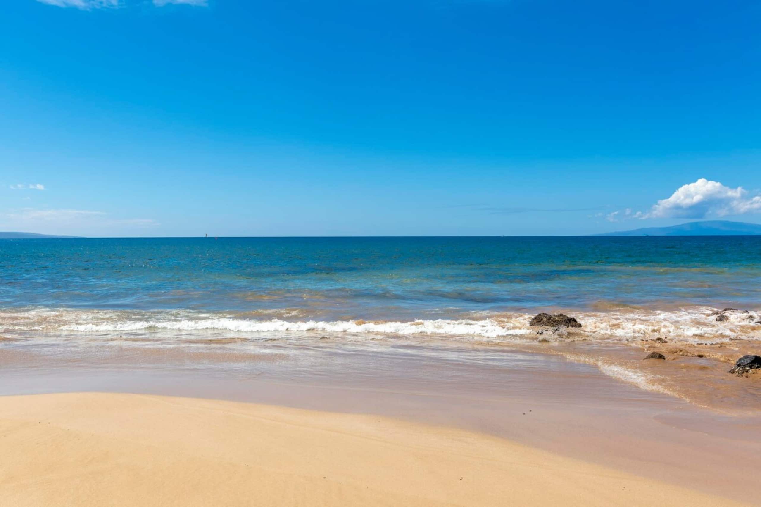Beachfront 2BR condo w/ pool and lanai - Photo 52
