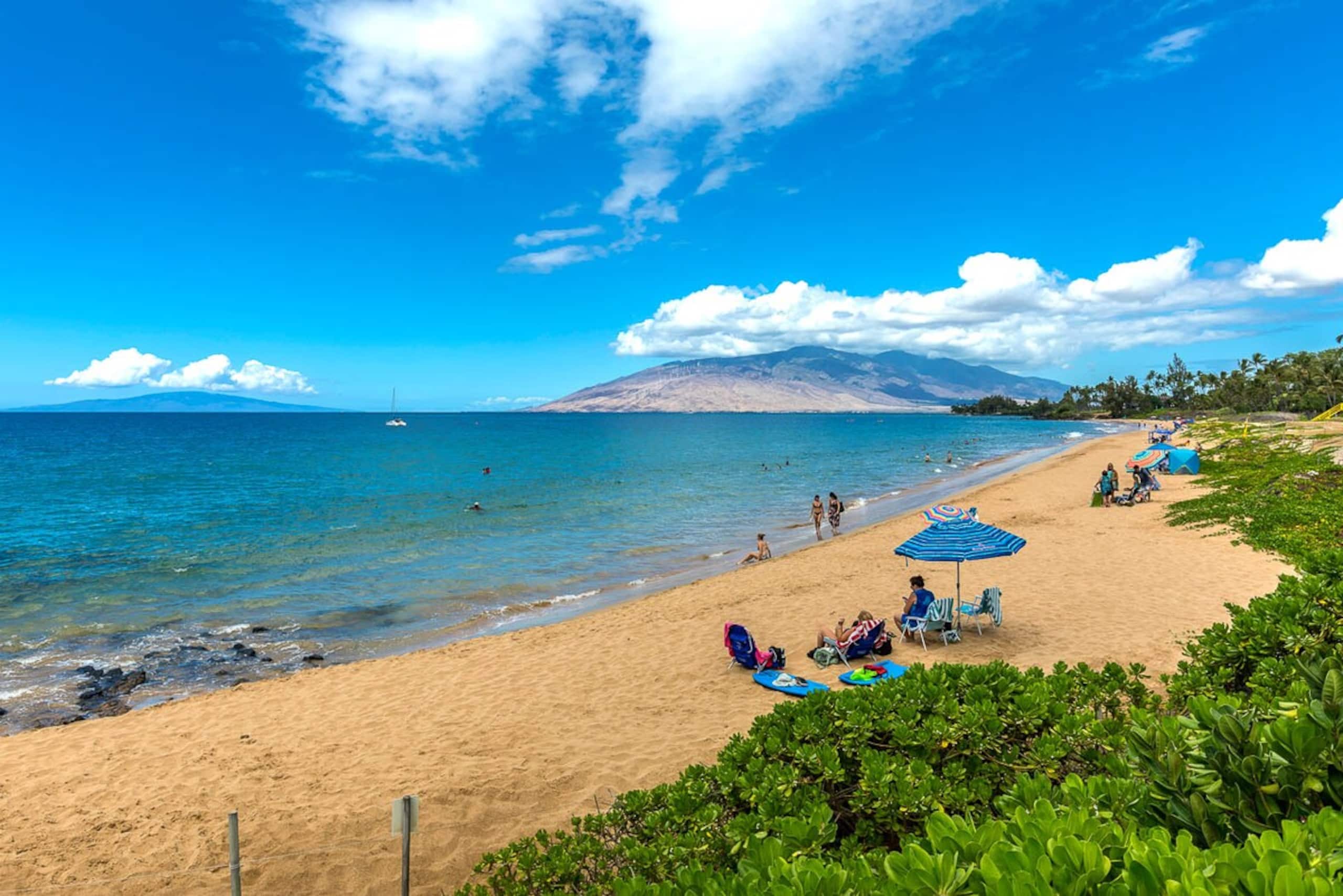 Beachfront 2BR condo w/ pool and lanai - Photo 67