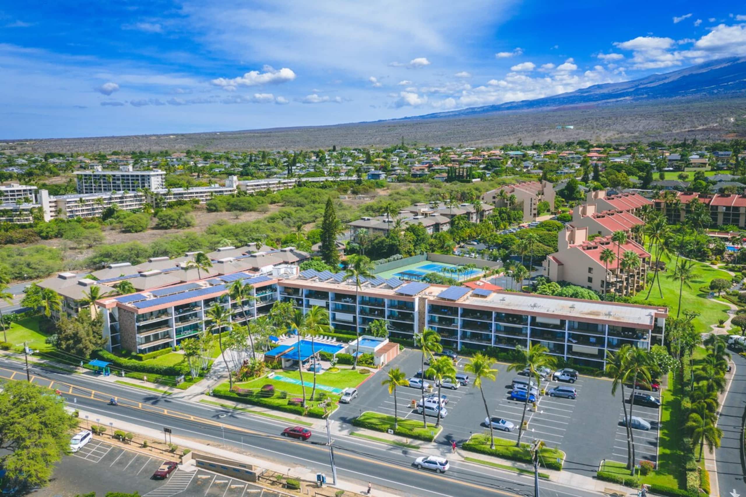 Beachfront 2BR condo w/ pool and lanai - Photo 50