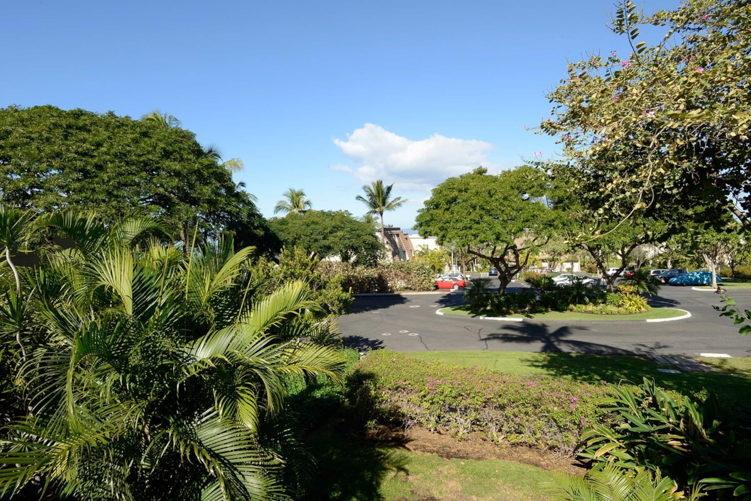Ocean View, Large Lanai, A/C, Near Beach, MKB210 - Photo 22