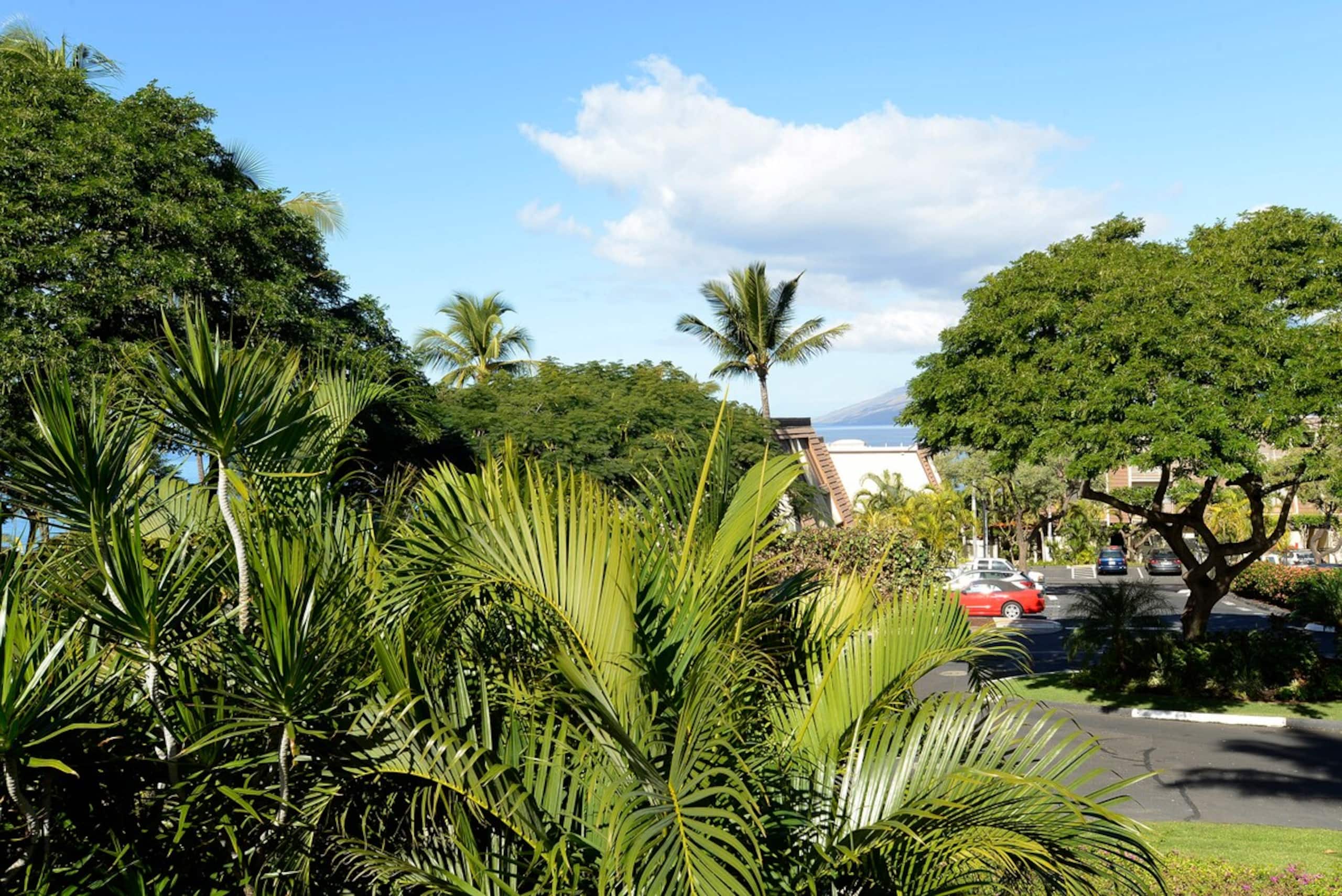 Ocean View, Large Lanai, A/C, Near Beach, MKB210 - Photo 25