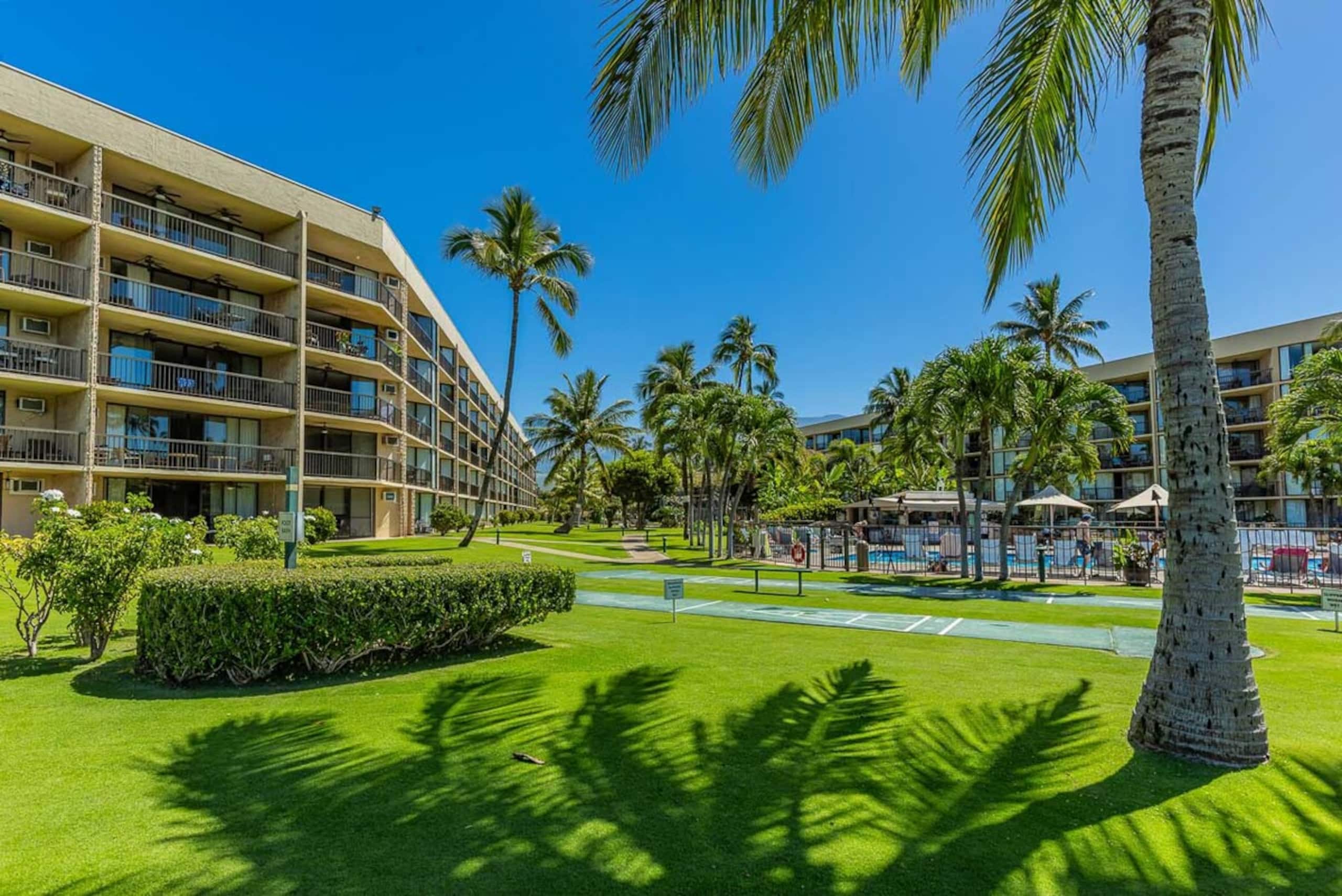 Beachfront 2BR w/ ocean views and pool - Photo 48