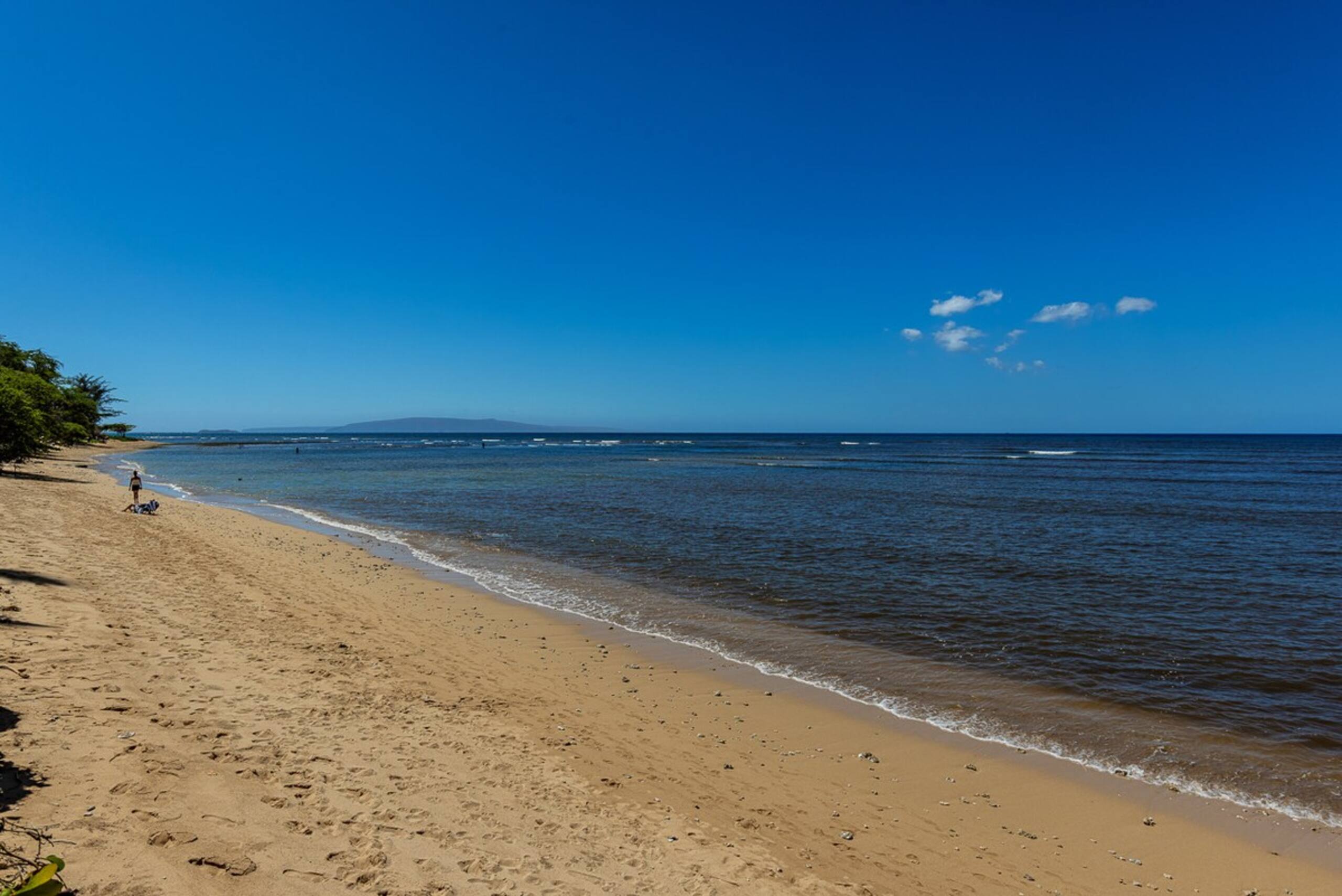 Beachfront 2BR w/ ocean views and pool - Photo 50