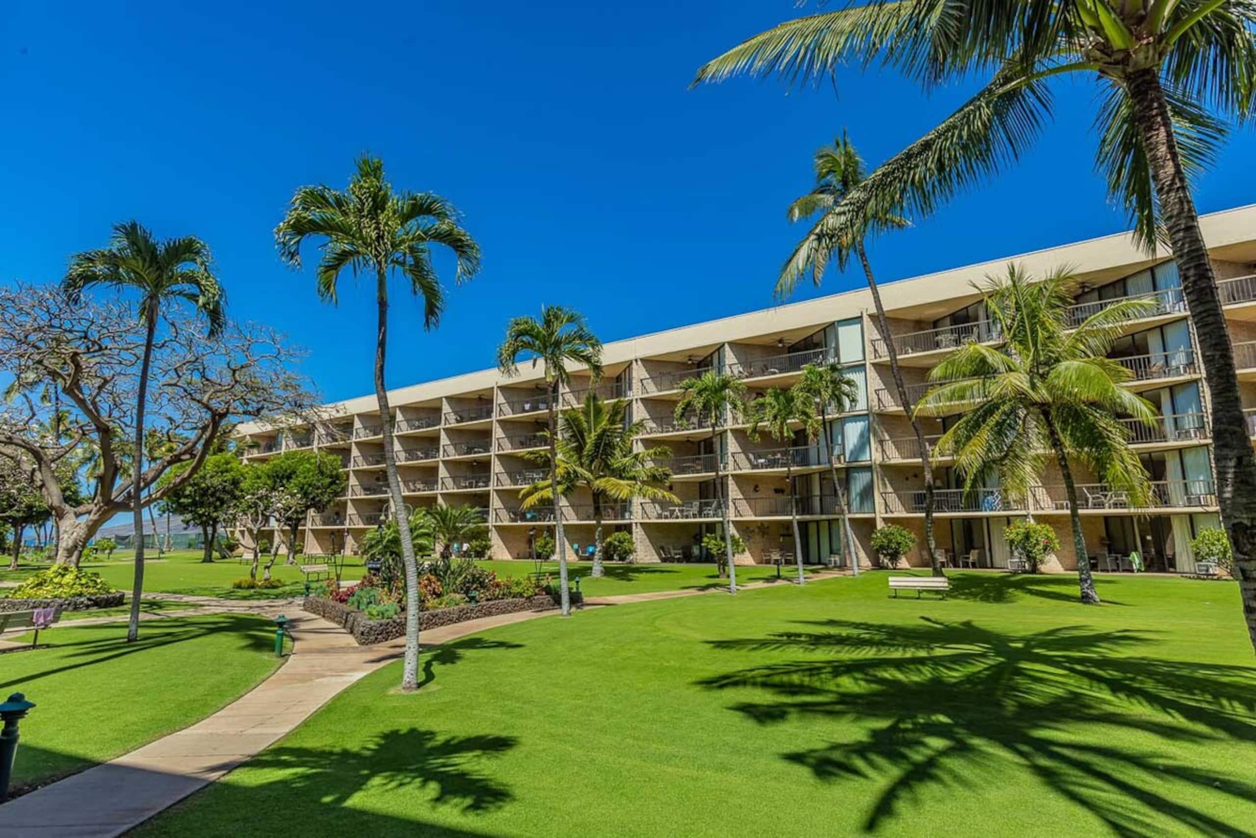 Beachfront 2BR w/ ocean views and pool - Photo 43
