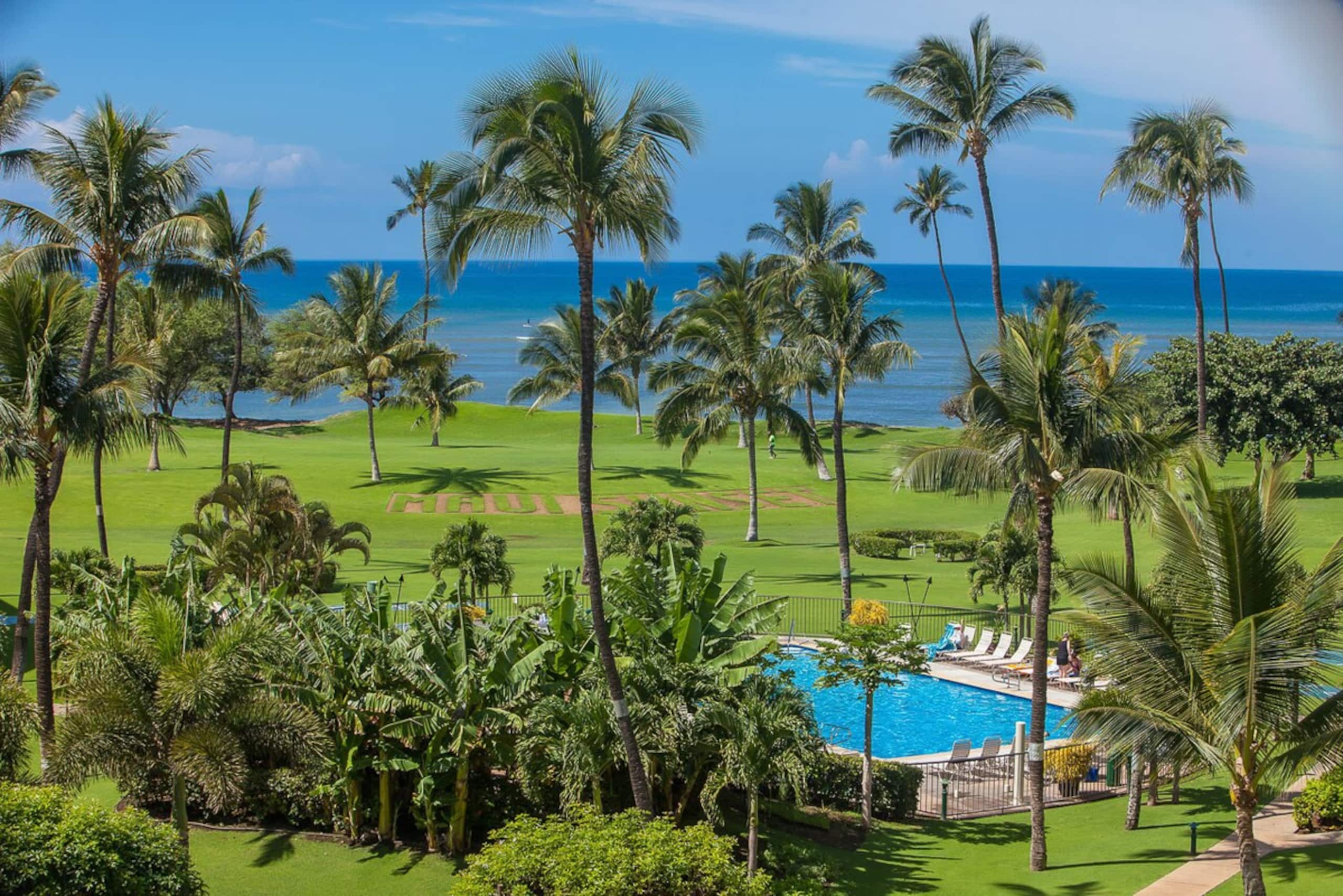 Beachfront 2BR w/ ocean views and pool - Photo 33