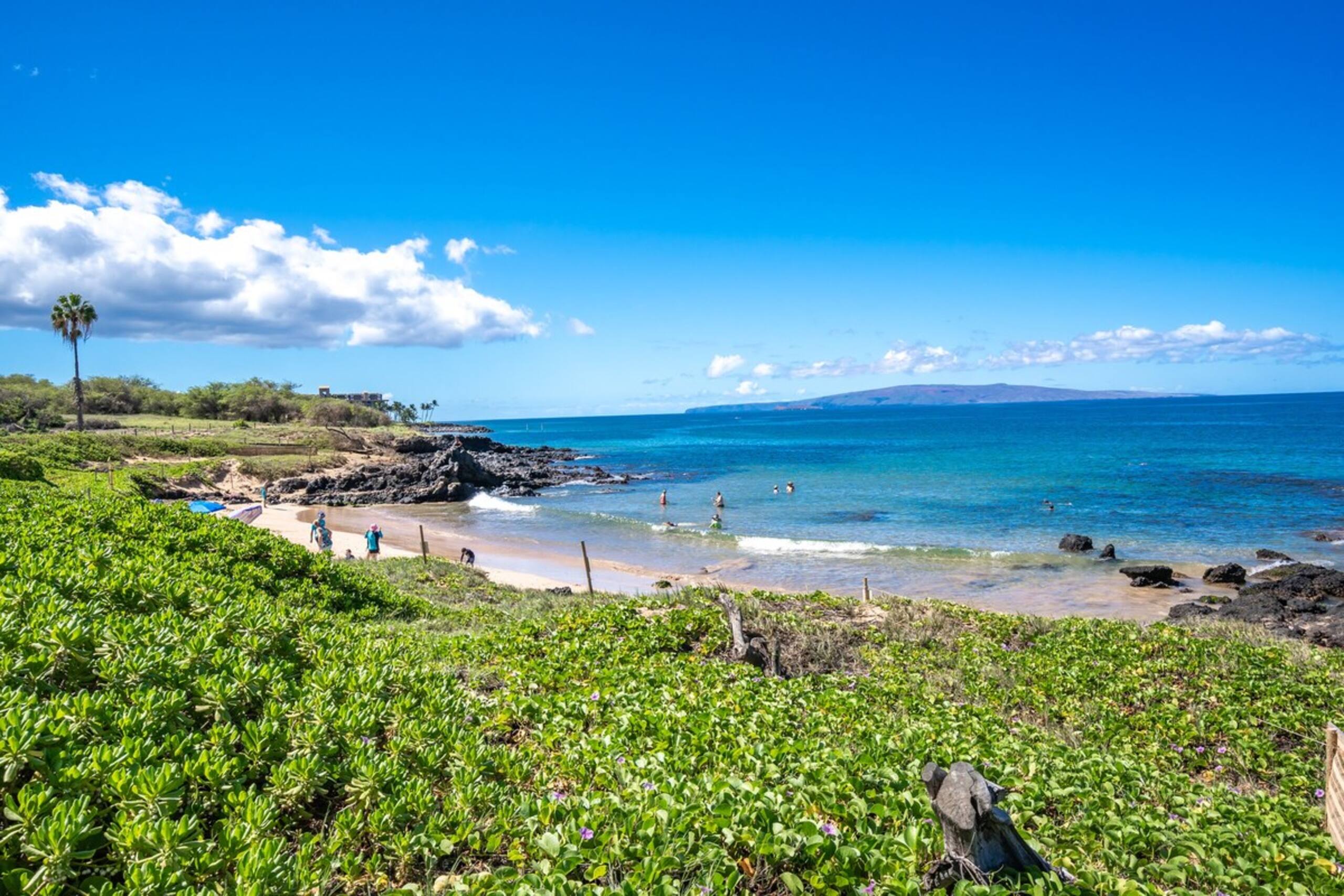 Airy and Updated Condo Across from Kam-III Beach - Photo 46