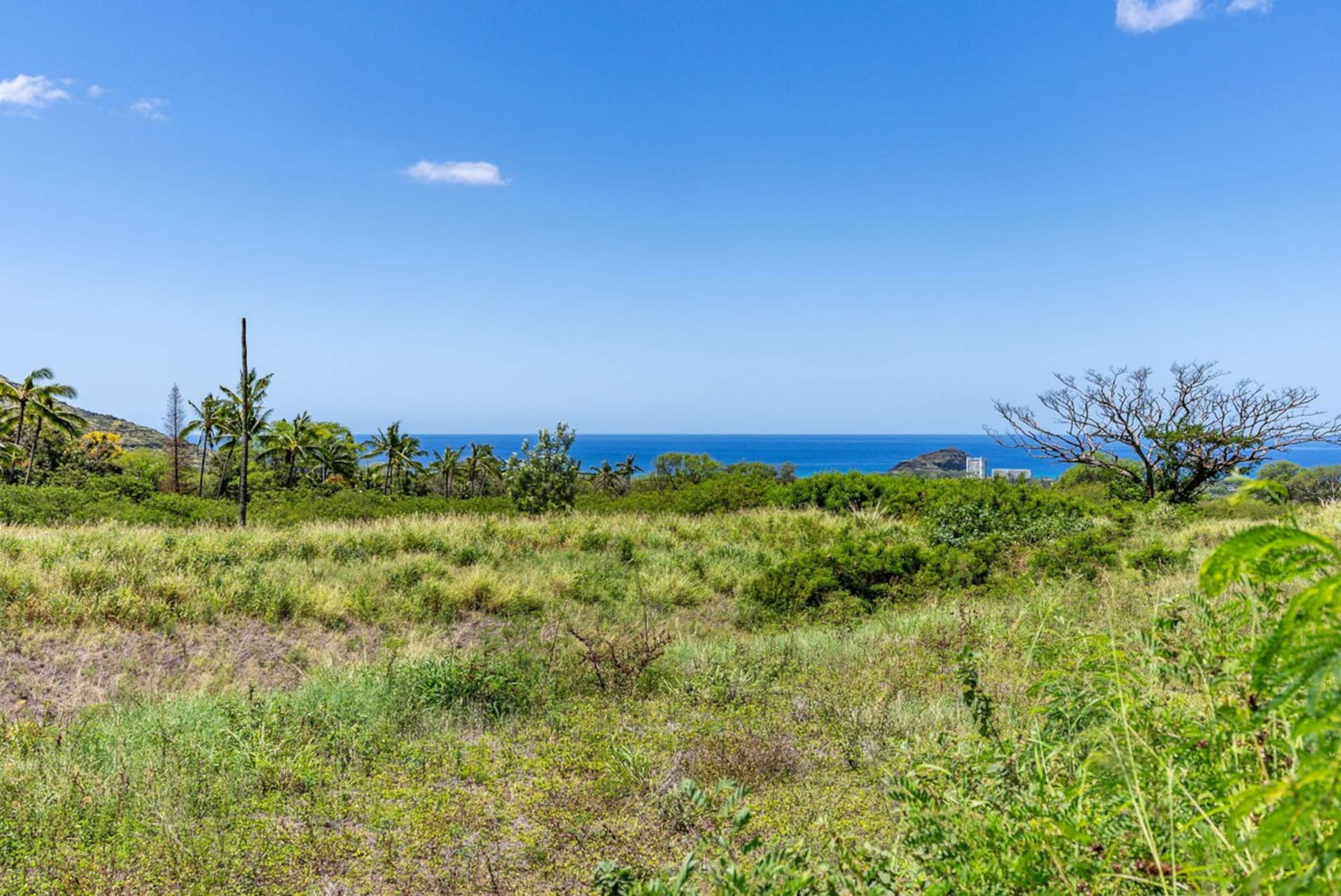 ML Ocean view, Golf, Gazebo and BBQ, we have all - Photo 78