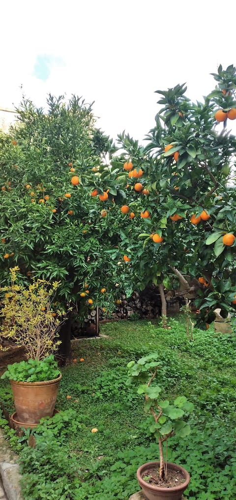 Salento vacation home with private garden