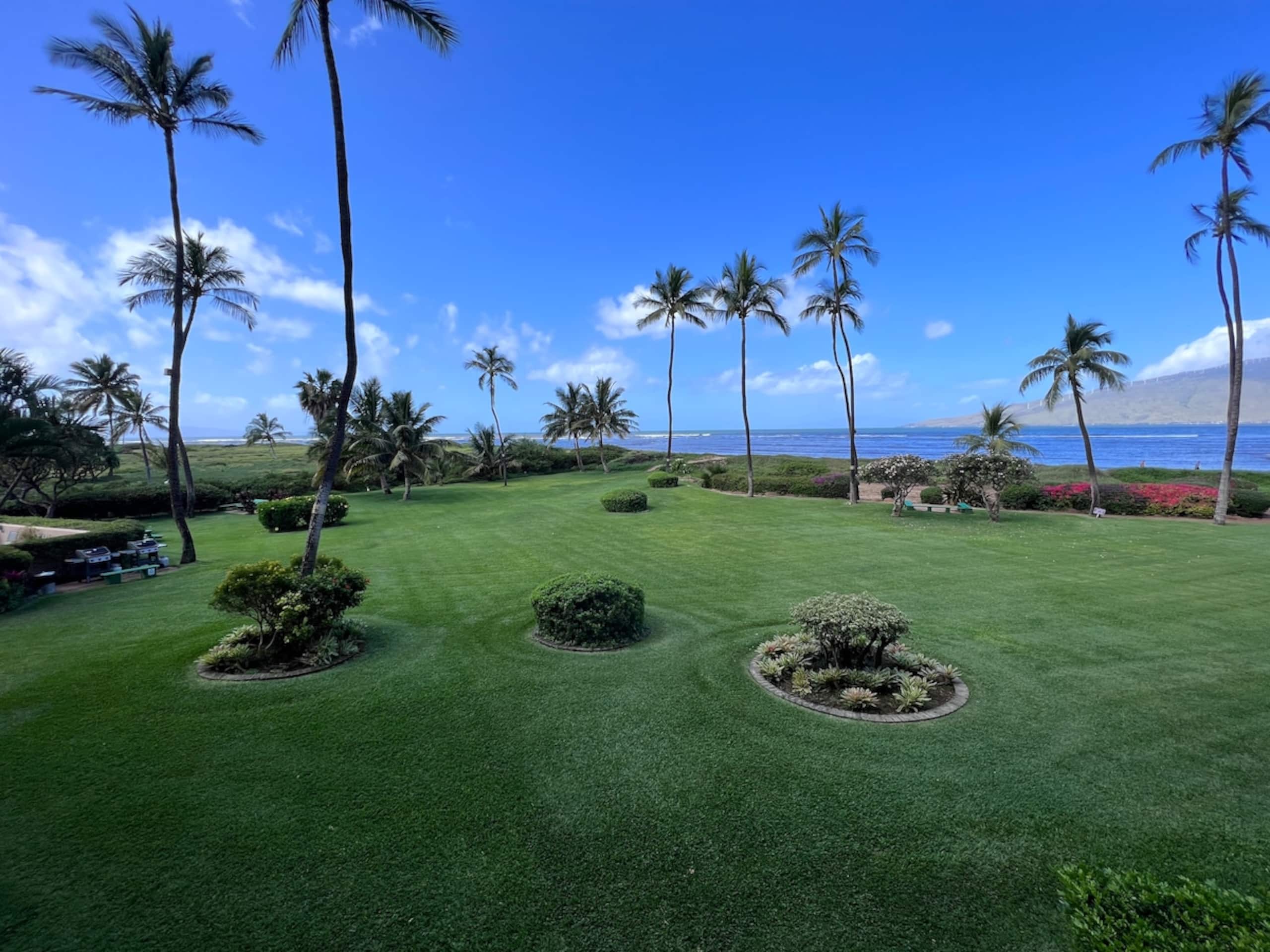 Oceanfront Spectacular Sunsets - Photo 20