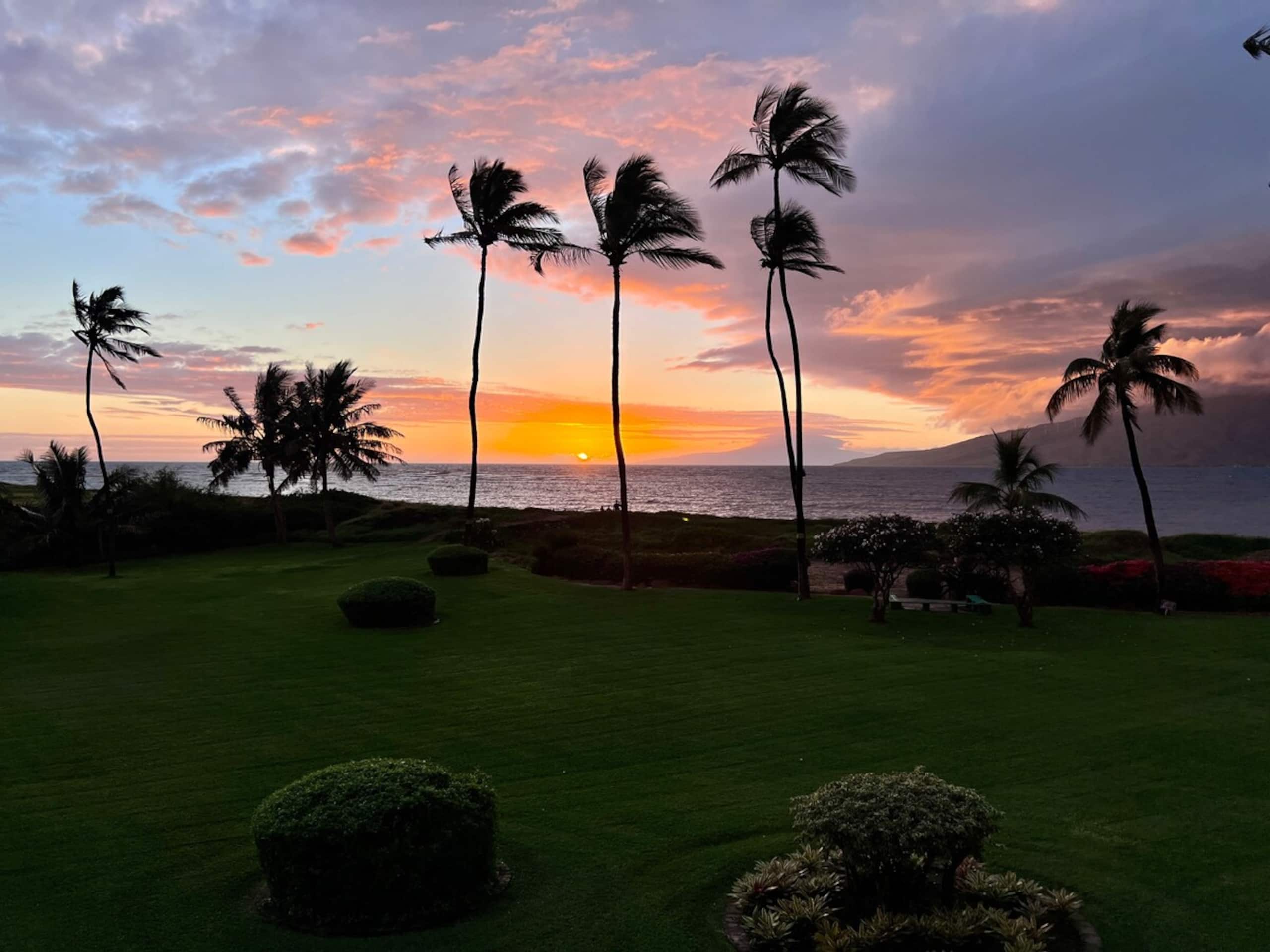 Oceanfront Spectacular Sunsets - Photo 34