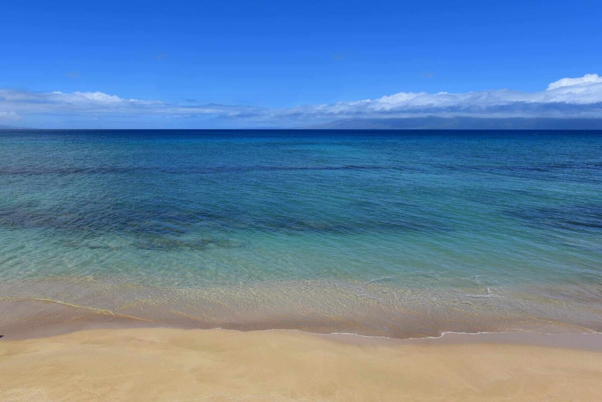 Corner condo with direct beach access - Photo 20