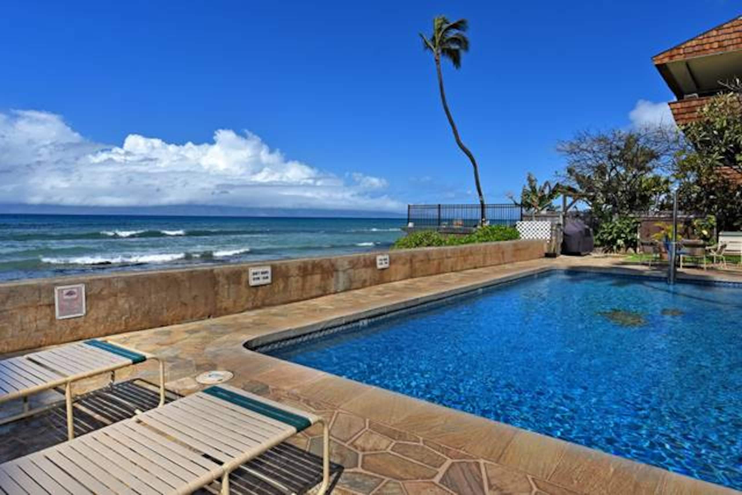 Corner condo with direct beach access - Photo 32