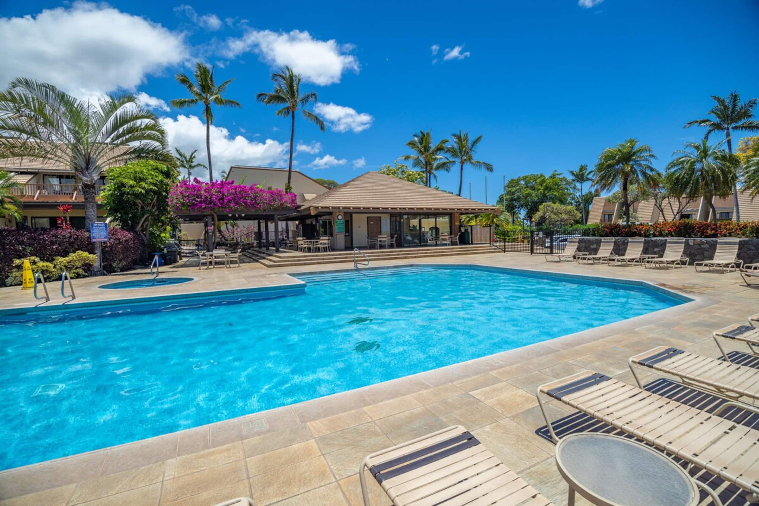Oceanview Poolside Spacious 2Bd Suite - Photo 46