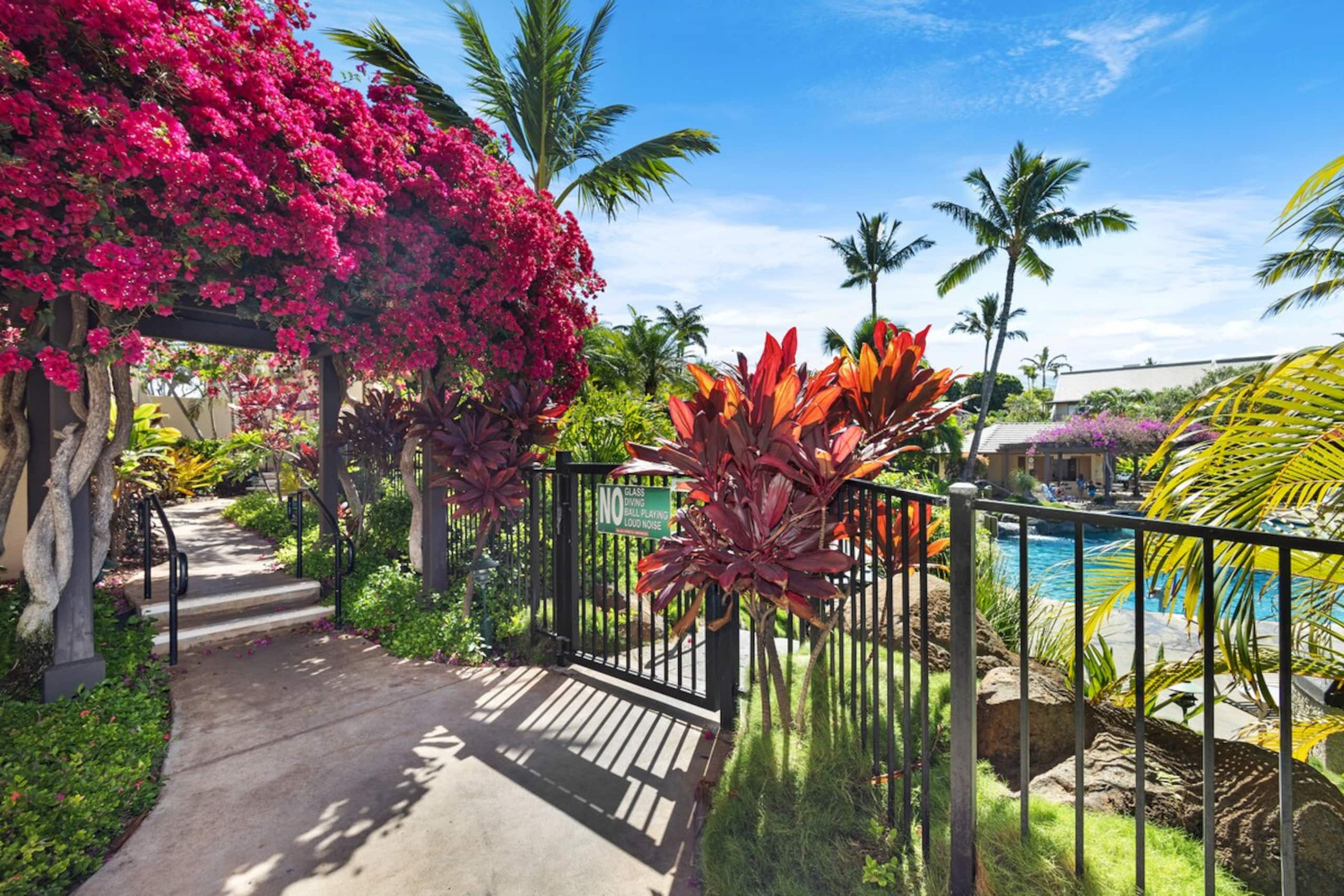 Oceanview Poolside Spacious 2Bd Suite - Photo 54