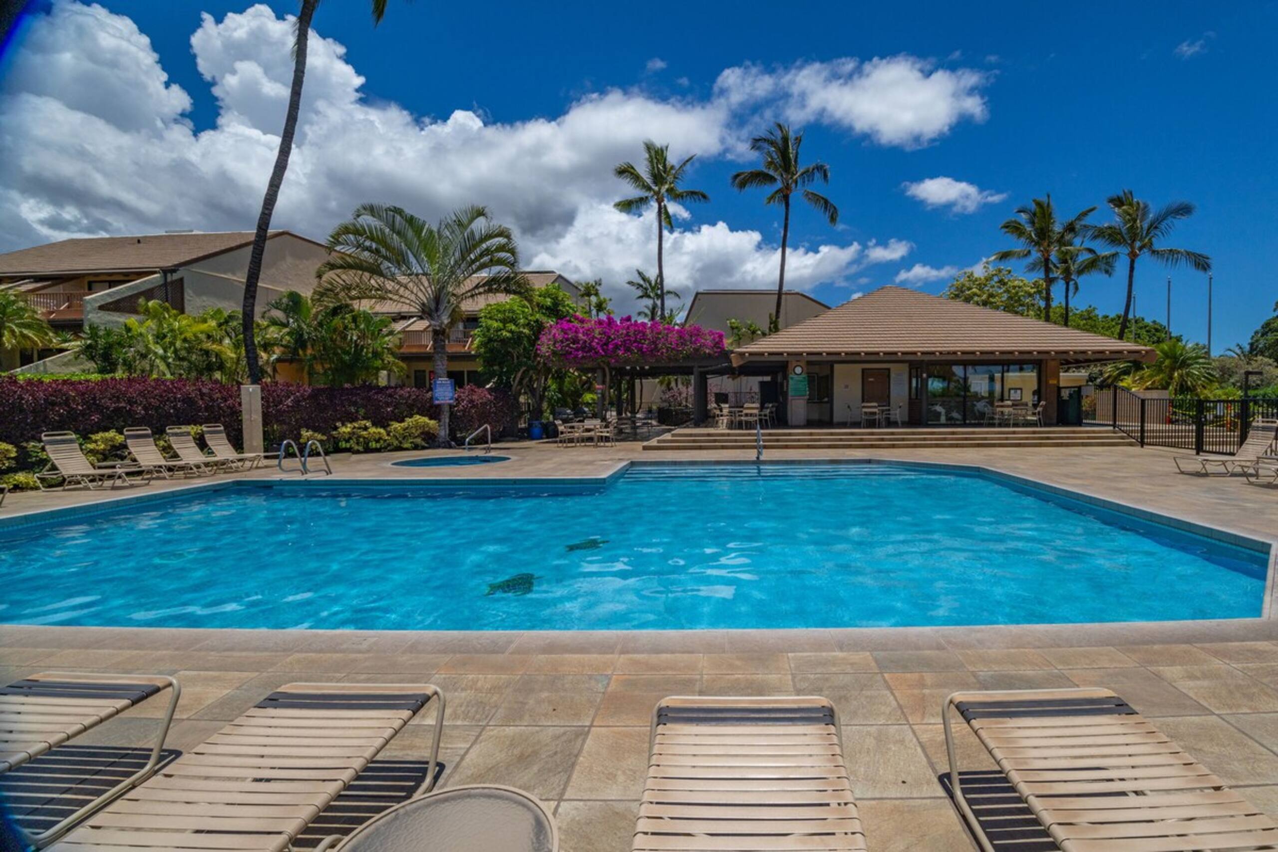 Oceanview Poolside Spacious 2Bd Suite - Photo 45