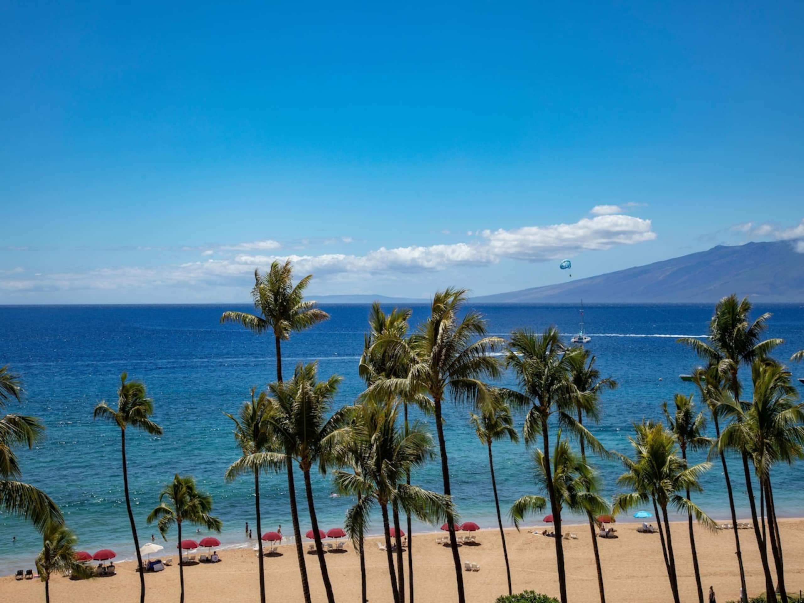 Ocean View on Kaanapali Beach - Great for Families - Photo 3