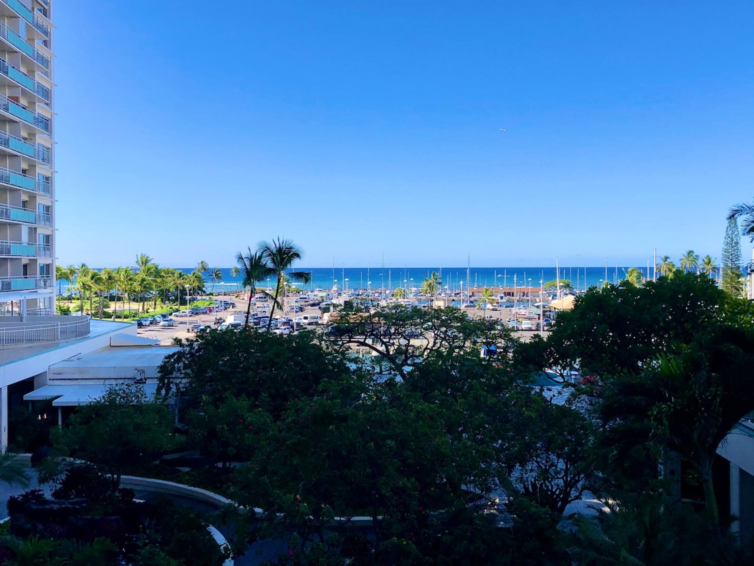 OCEAN VIEW 2 BEDROOM 2 BATHROOM APP AT ILIKAI! - Photo 17