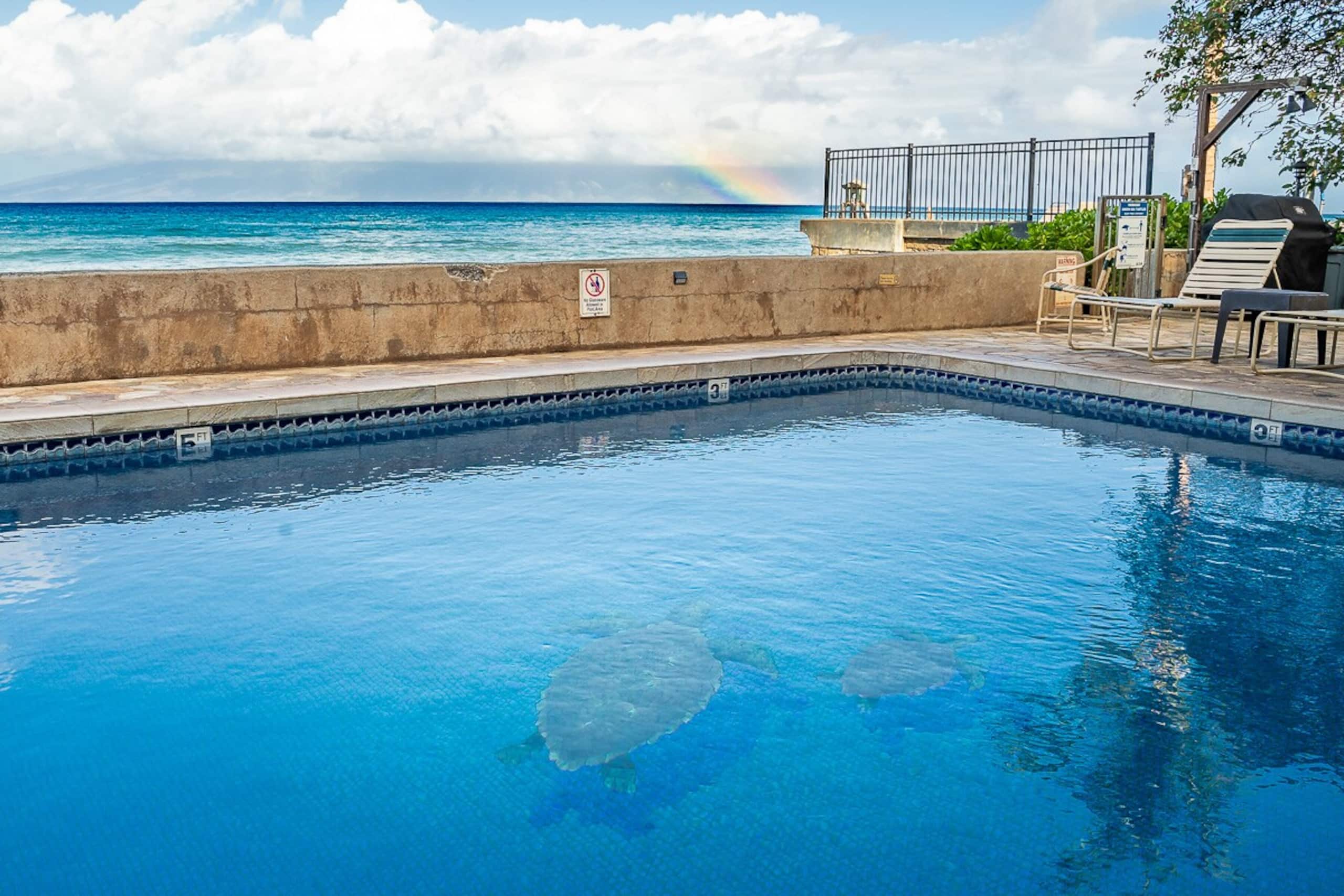 Private Lanai with the Best View in Town - Photo 33