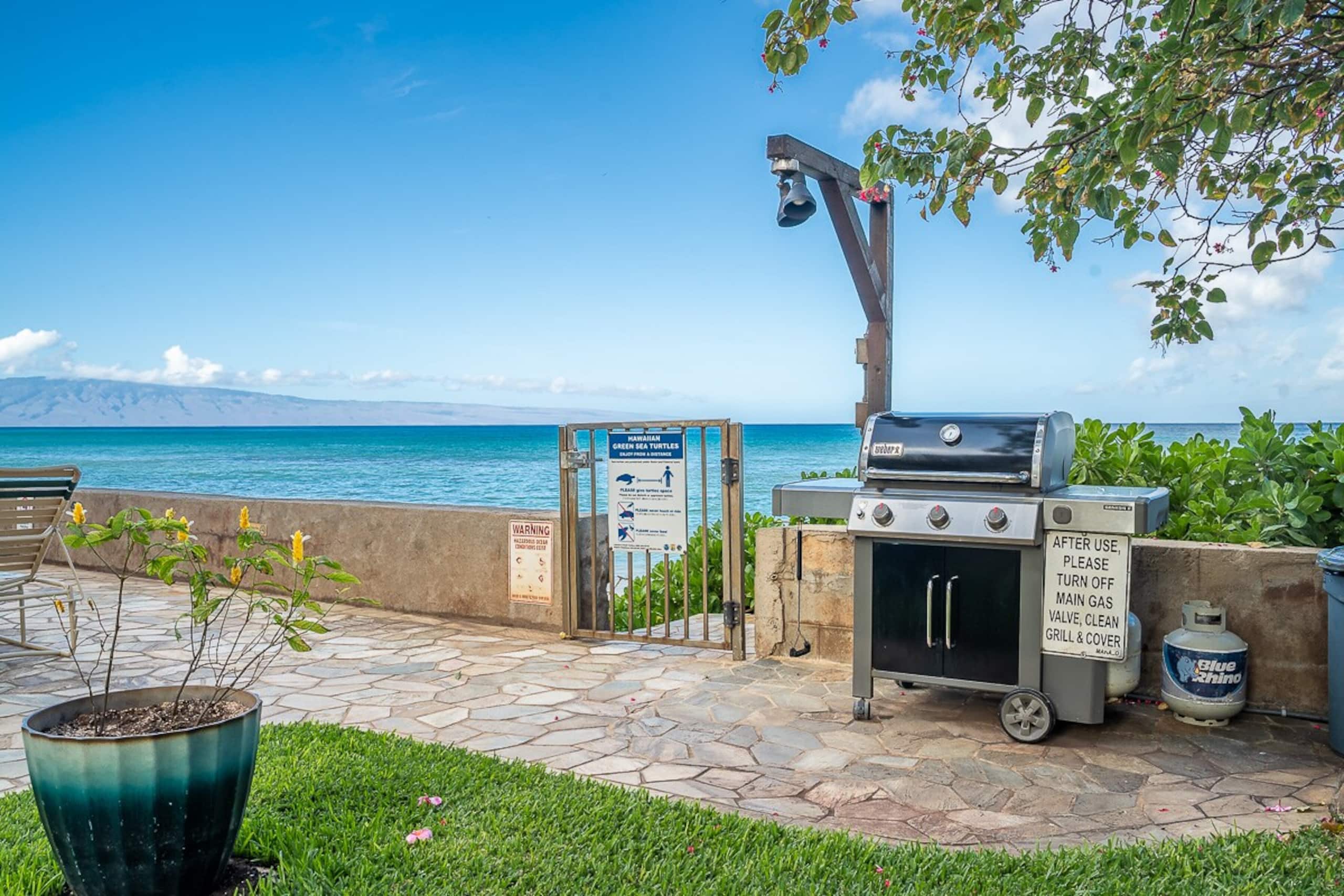 Private Lanai with the Best View in Town - Photo 34