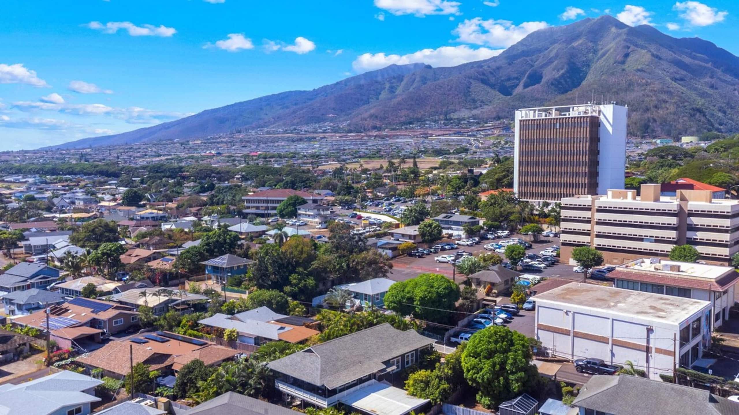 The Blue Door on Church Street | Maui Garden Suite - Photo 63