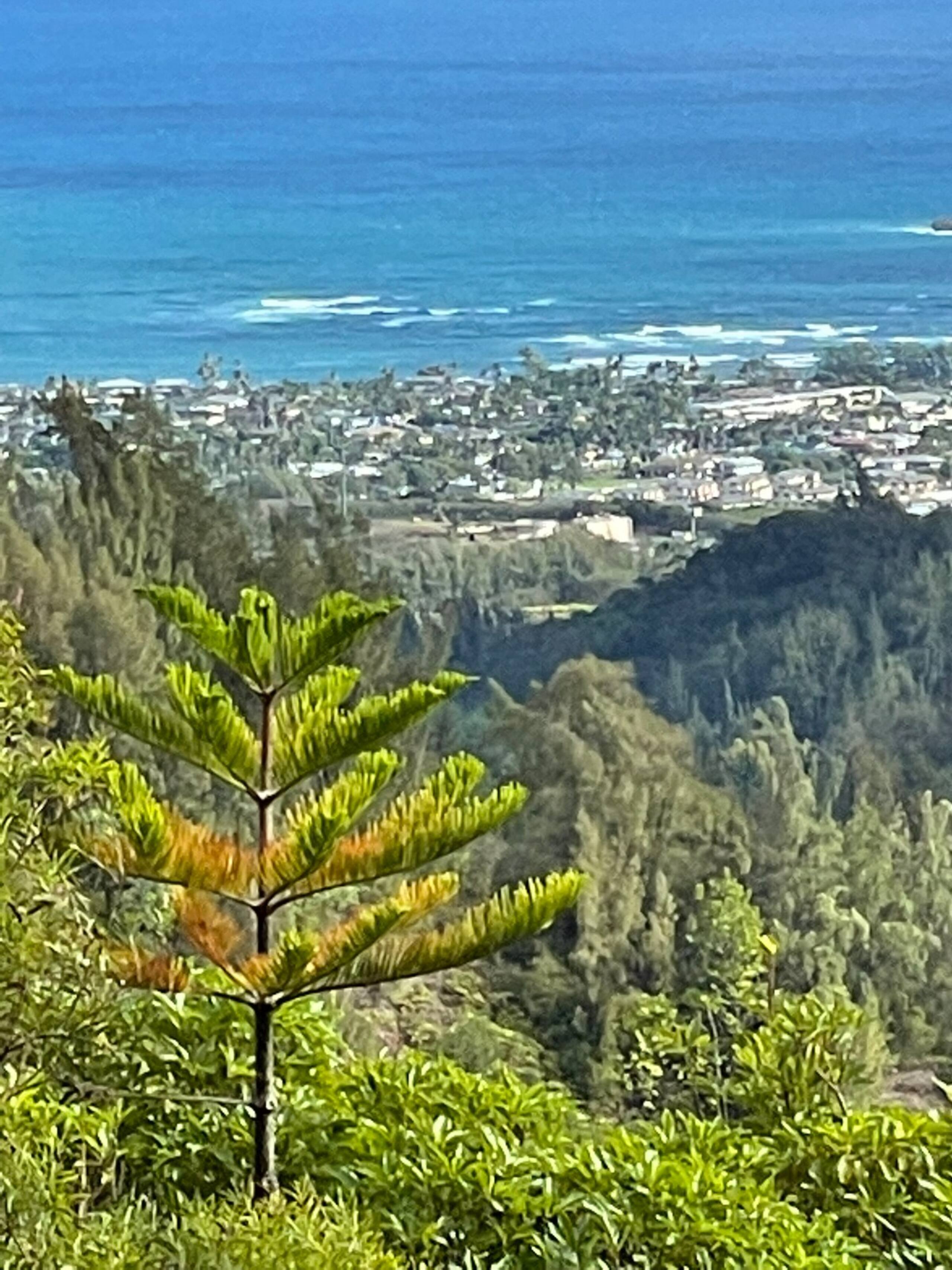 Turtle Bay Condo, 2 Bedroom, sleeps 6 - Photo 61