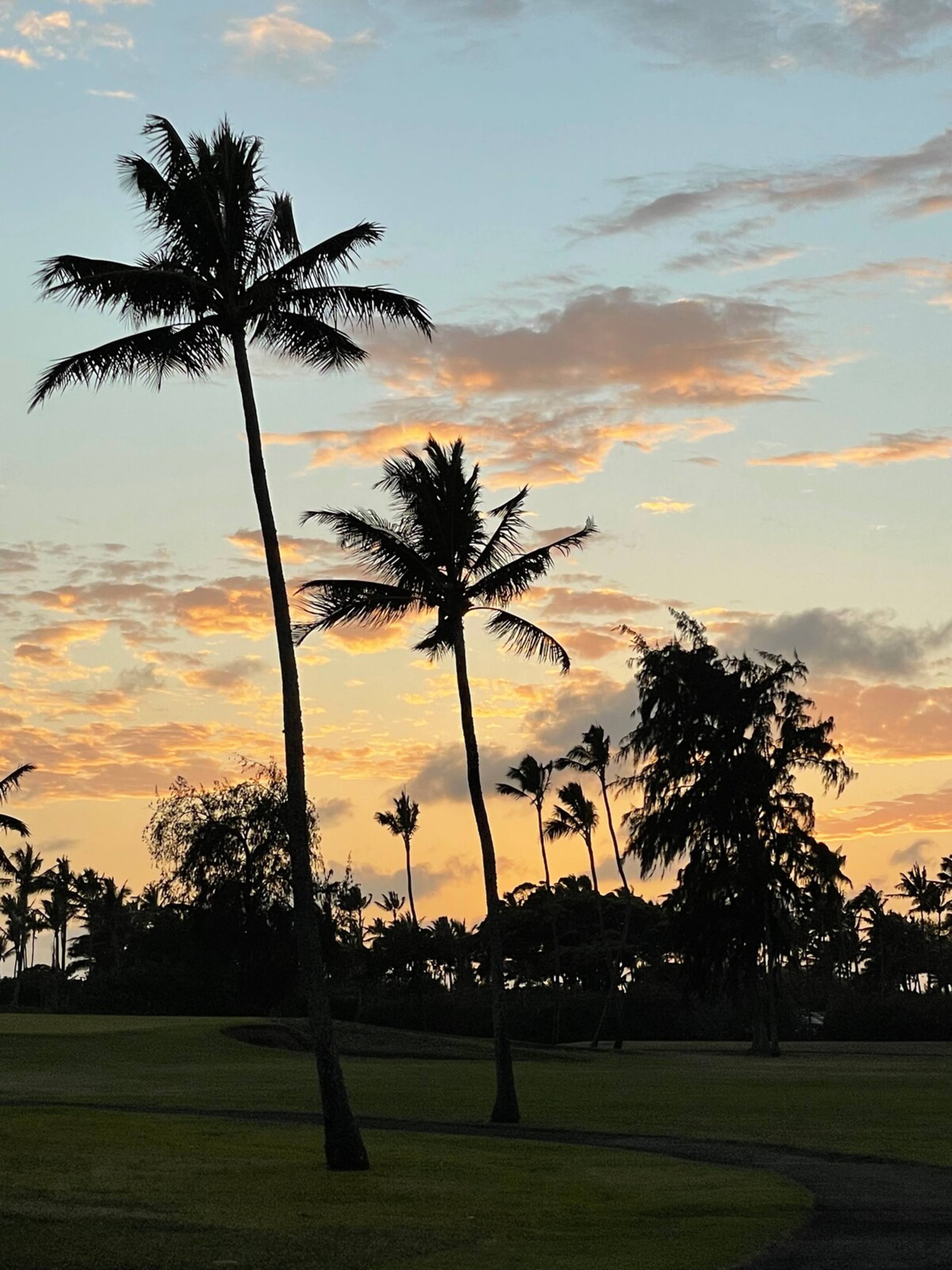 Turtle Bay Condo, 2 Bedroom, sleeps 6 - Photo 60