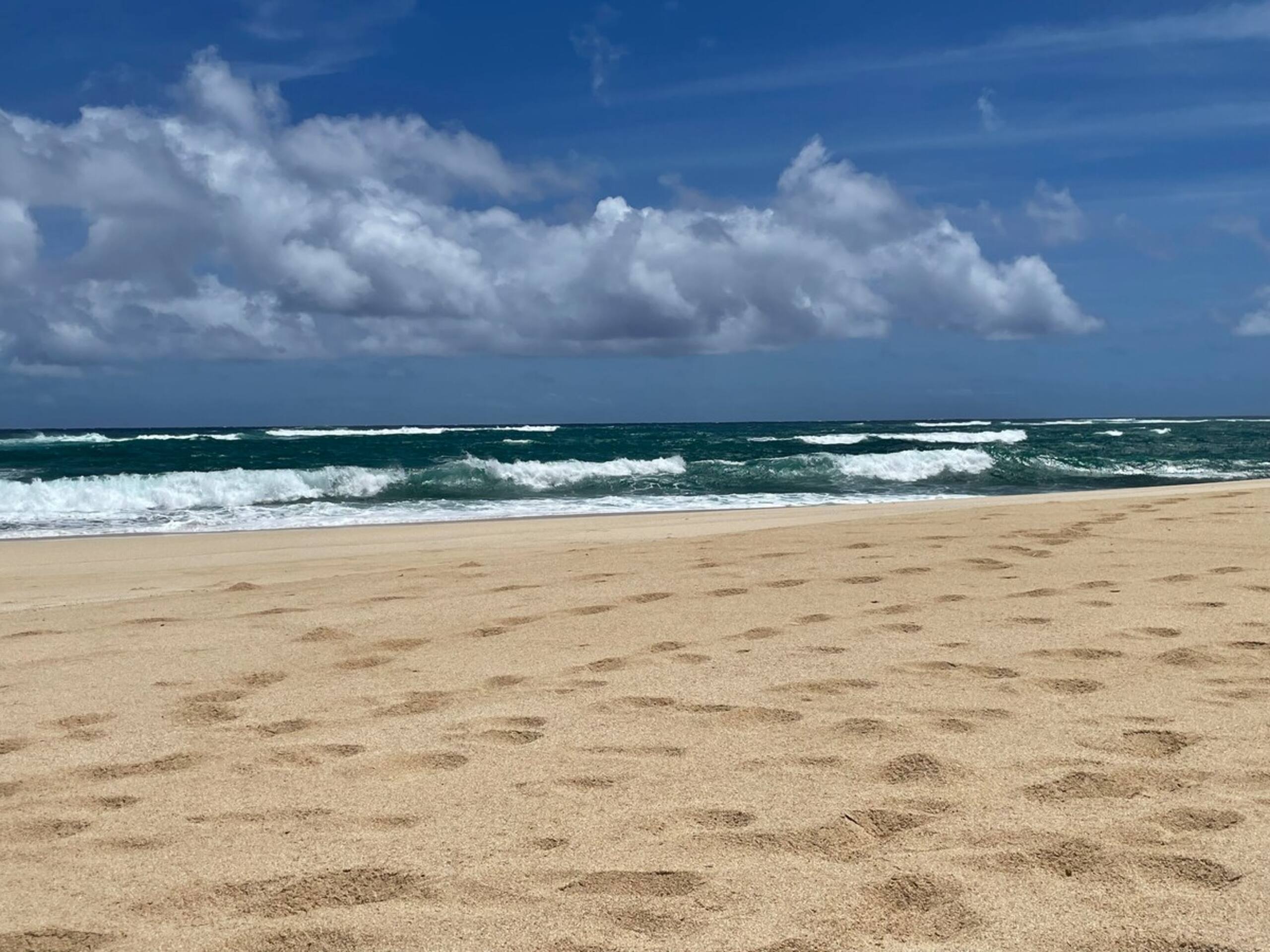 Turtle Bay Condo, 2 Bedroom, sleeps 6 - Photo 59