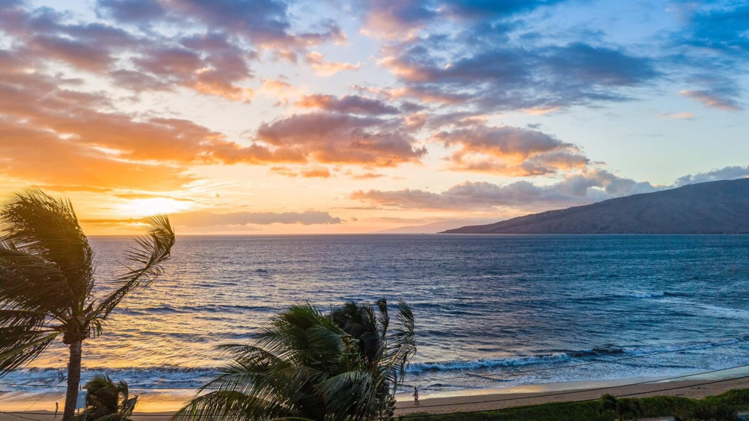 Remodeled Beachside 1bd, Aloha Pualani 5 - Photo 142