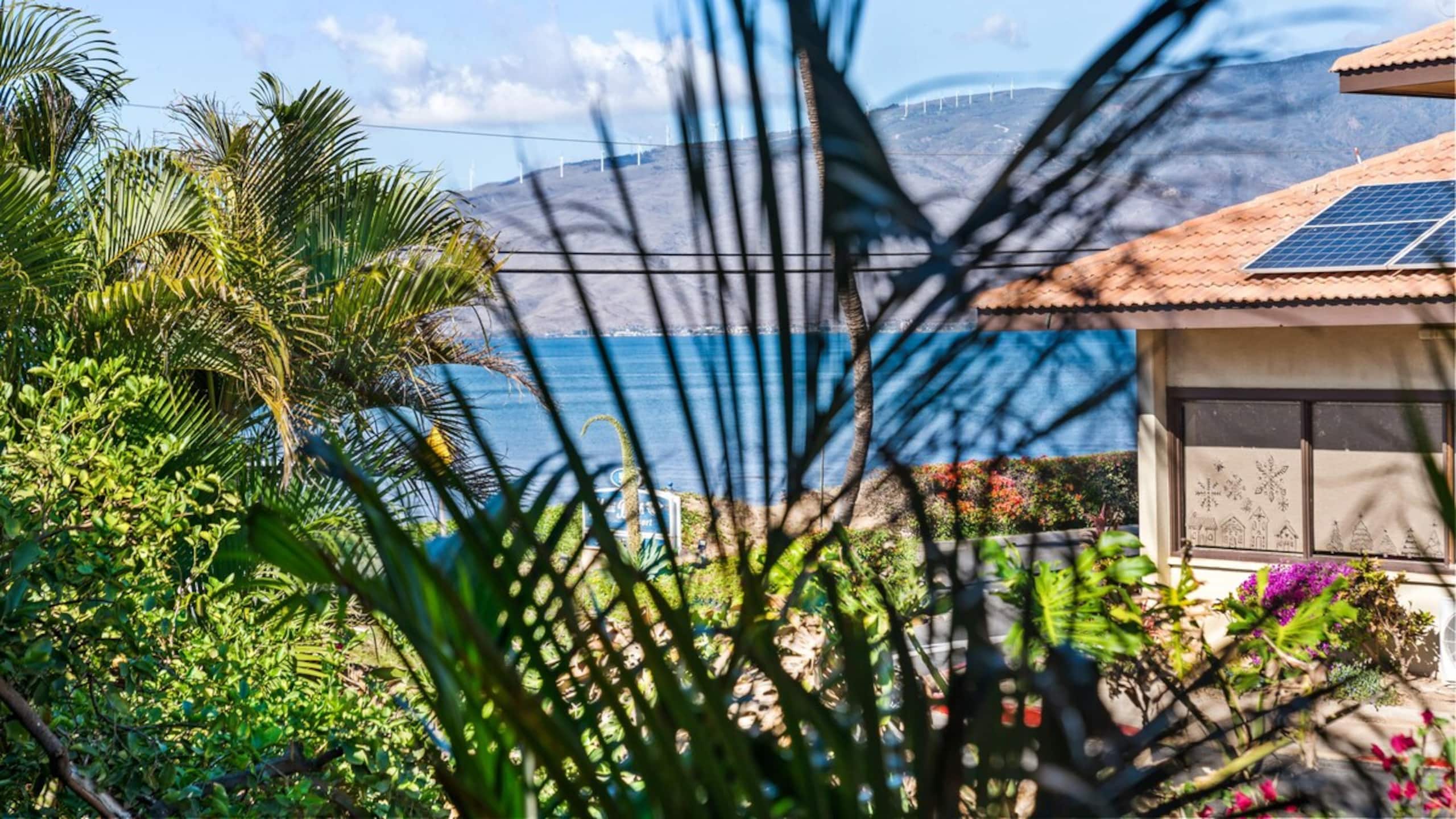 Remodeled Beachside 1bd, Aloha Pualani 5 - Photo 26
