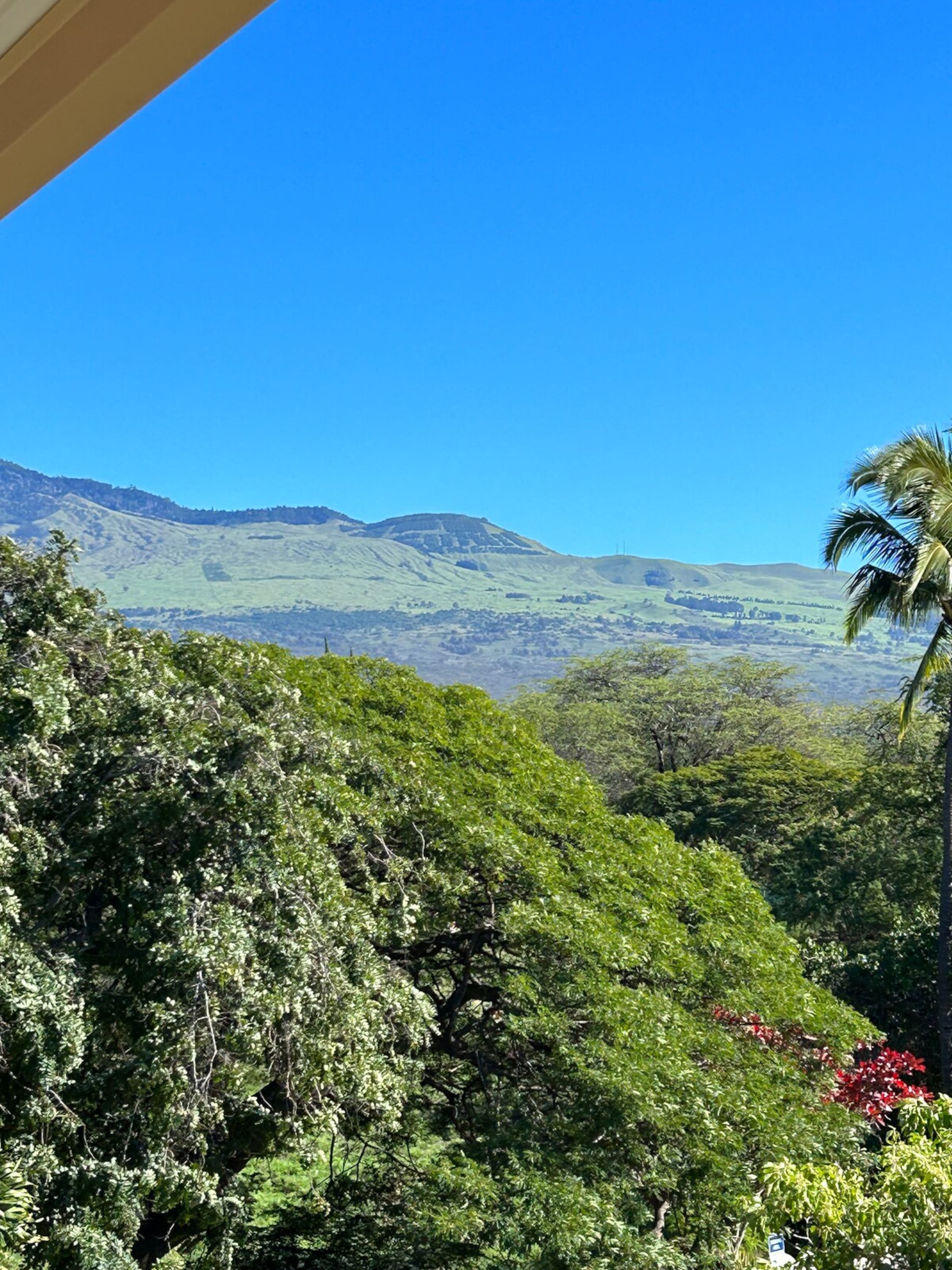 Kihei, Maui, Kihei Kai Nani, 1 Bedroom Condo - Photo 11