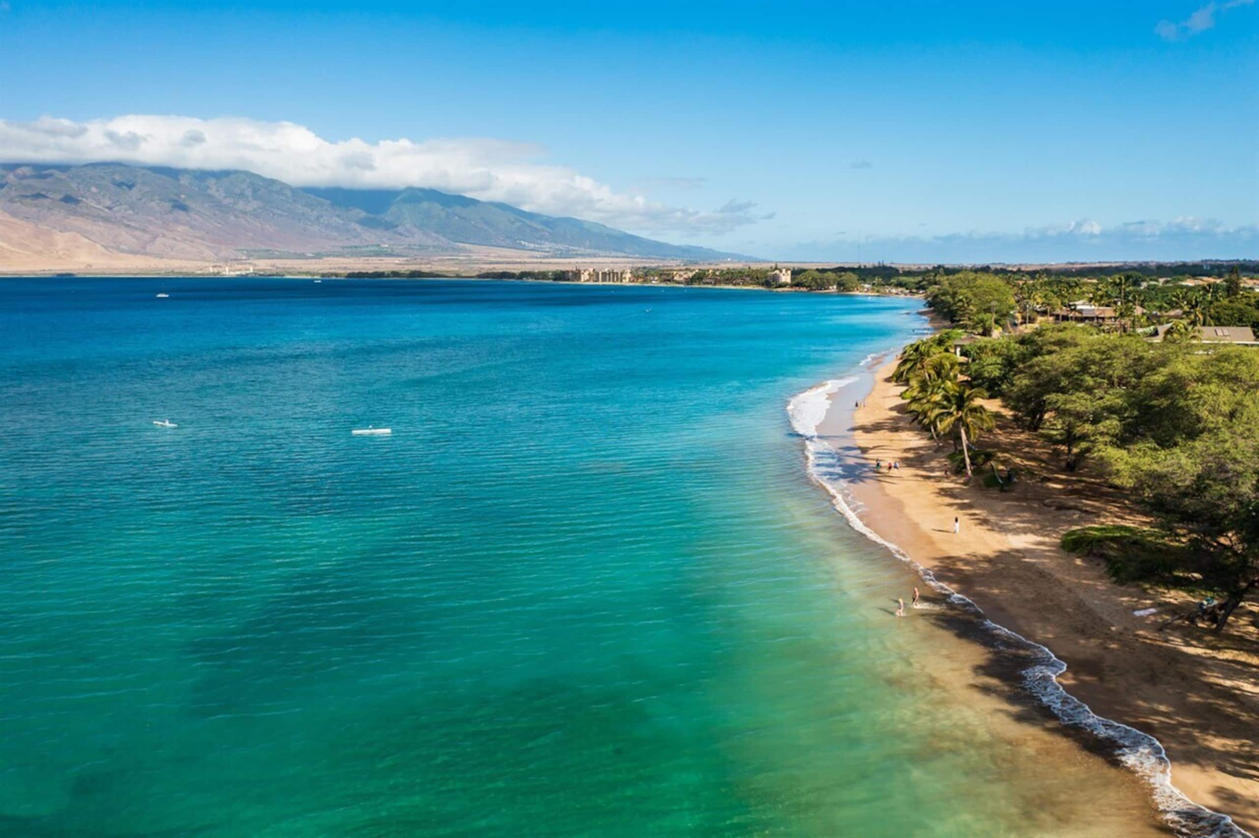 Beach & Poolside Bliss - Family-Friendly Maui Stay - Photo 21