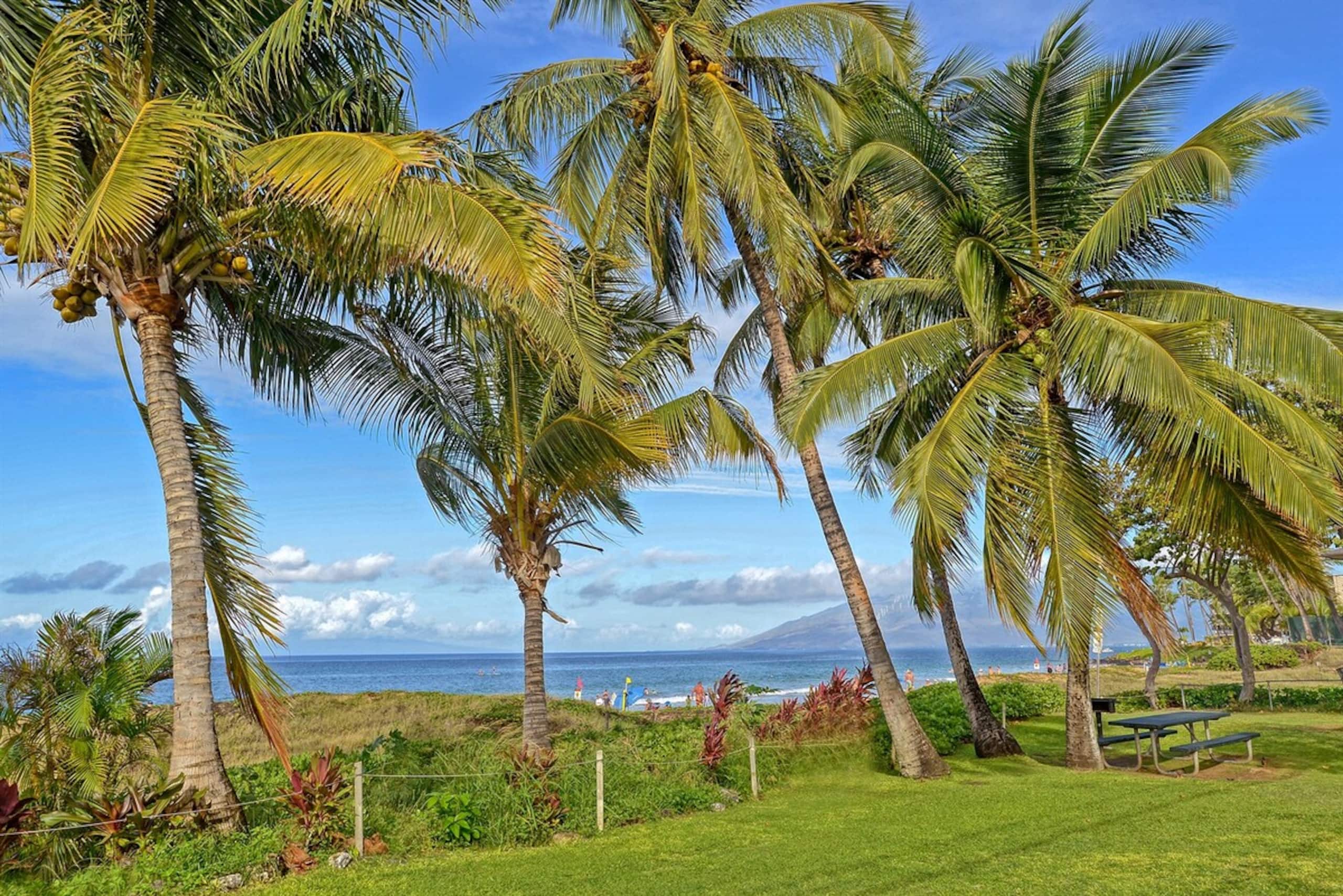 Best Beaches Remodeled End Unit for Luxury and Pr - Photo 24