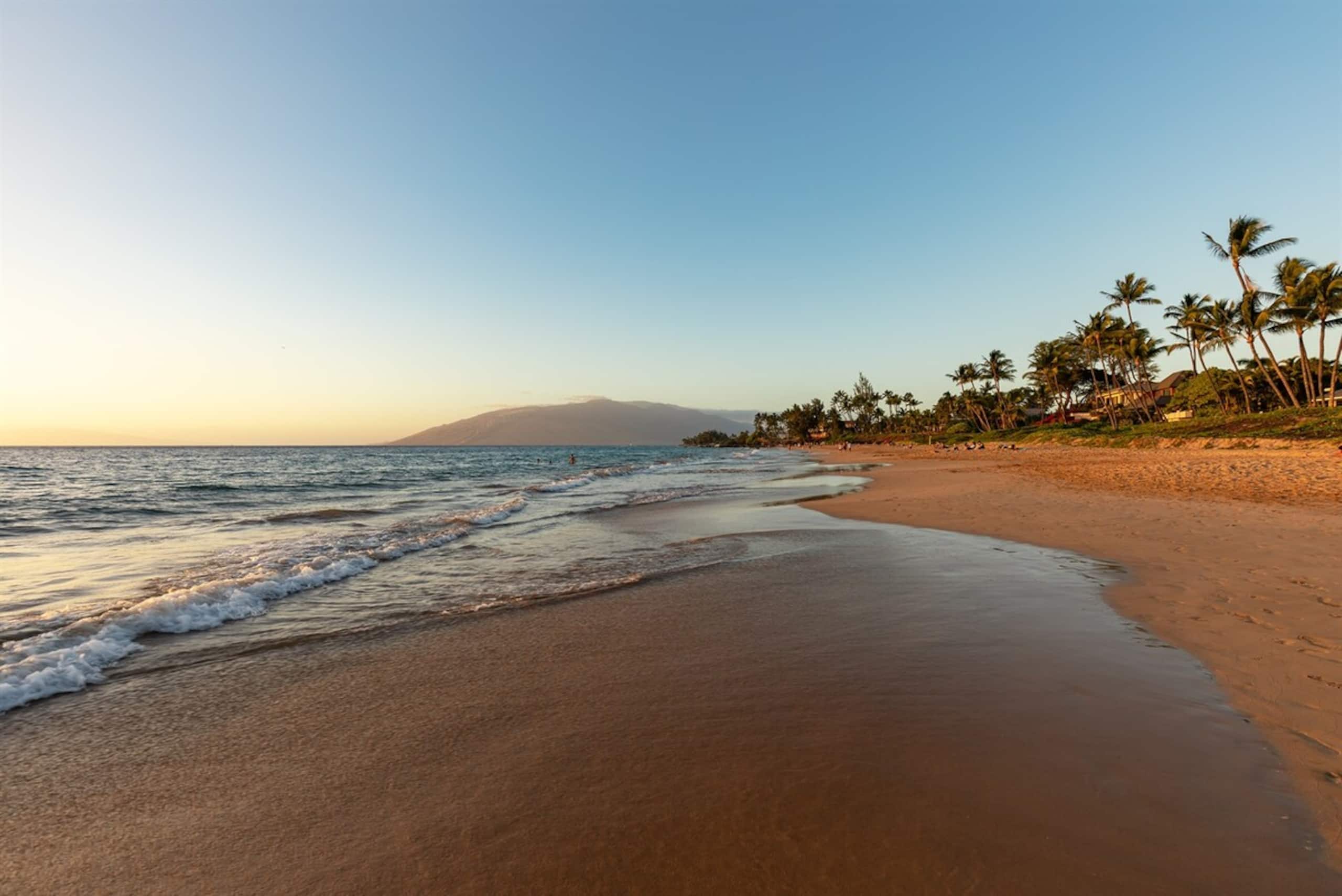 Best Beaches Remodeled End Unit for Luxury and Pr - Photo 22