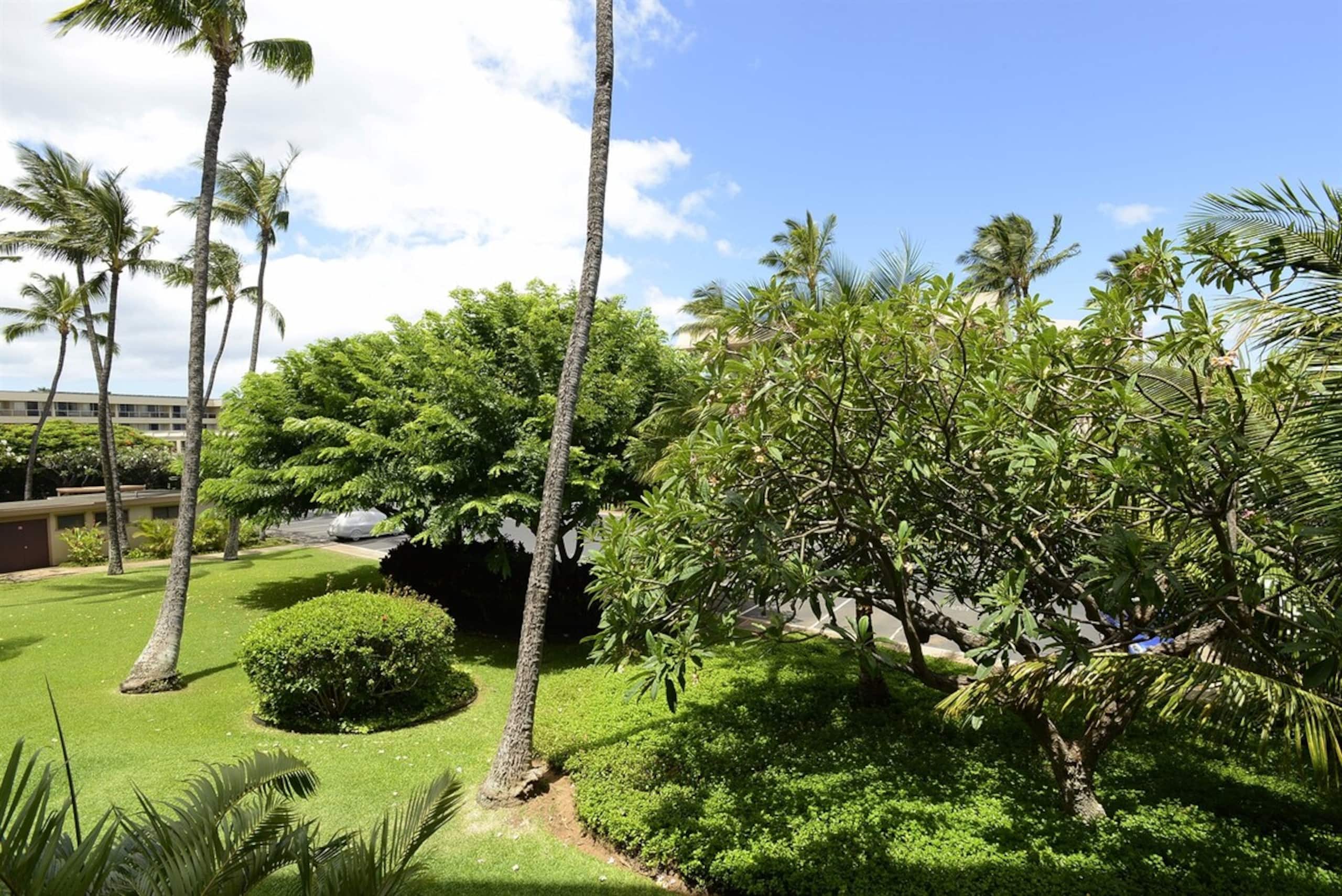 Best Beaches Remodeled End Unit for Luxury and Pr - Photo 8