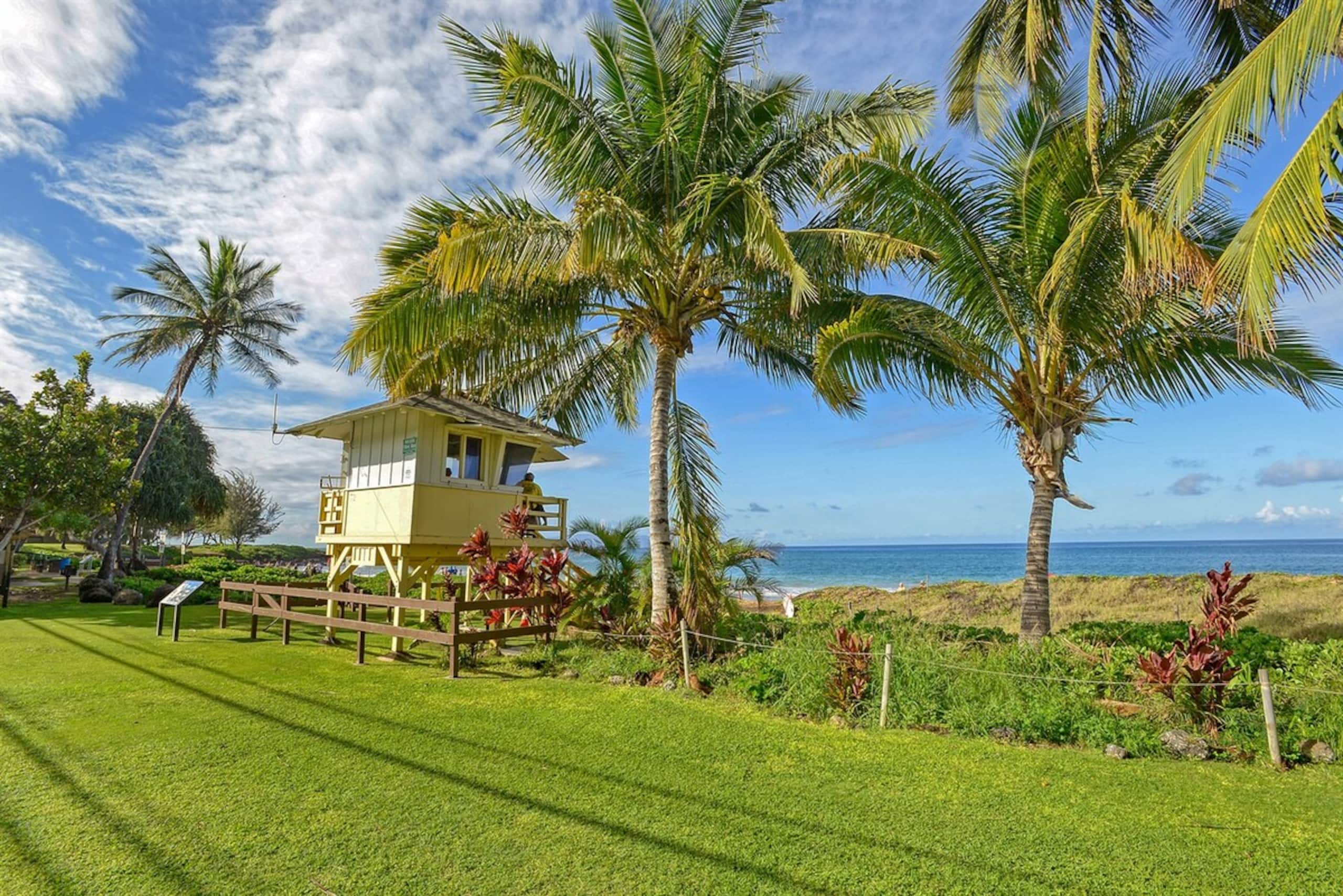 Best Beaches Remodeled End Unit for Luxury and Pr - Photo 26