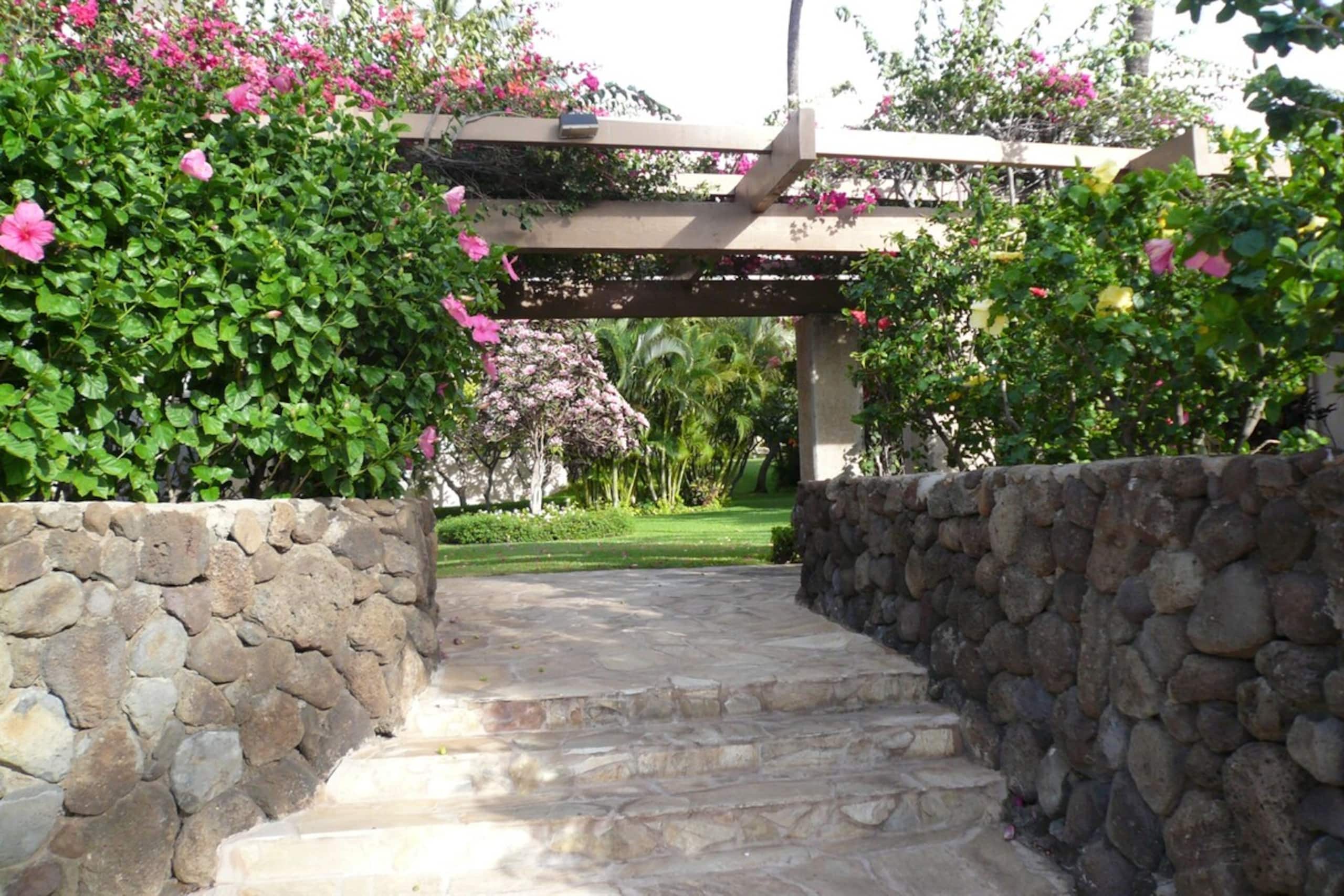 Best Beaches Remodeled End Unit for Luxury and Pr - Photo 32