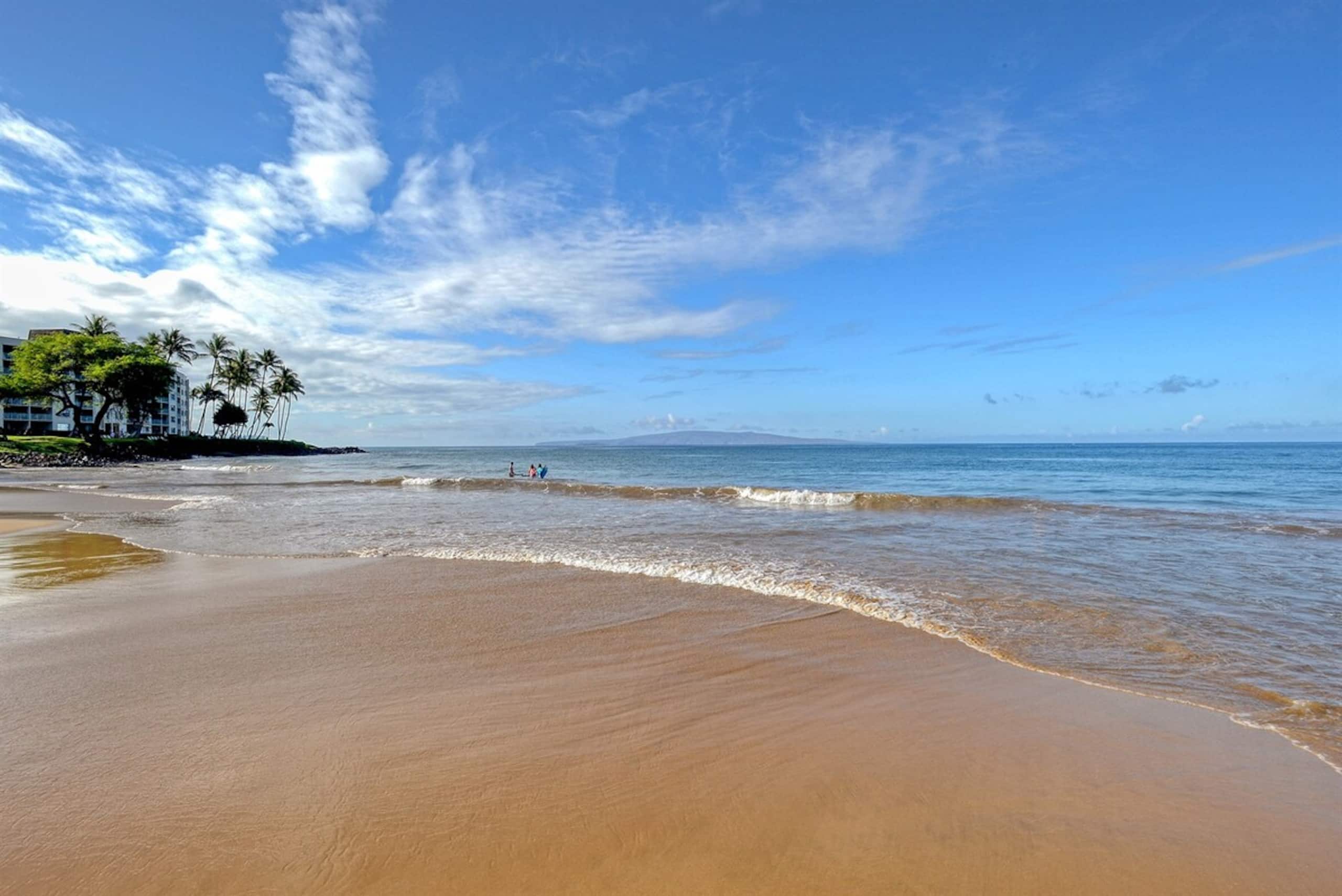 Best Beaches Remodeled End Unit for Luxury and Pr - Photo 29