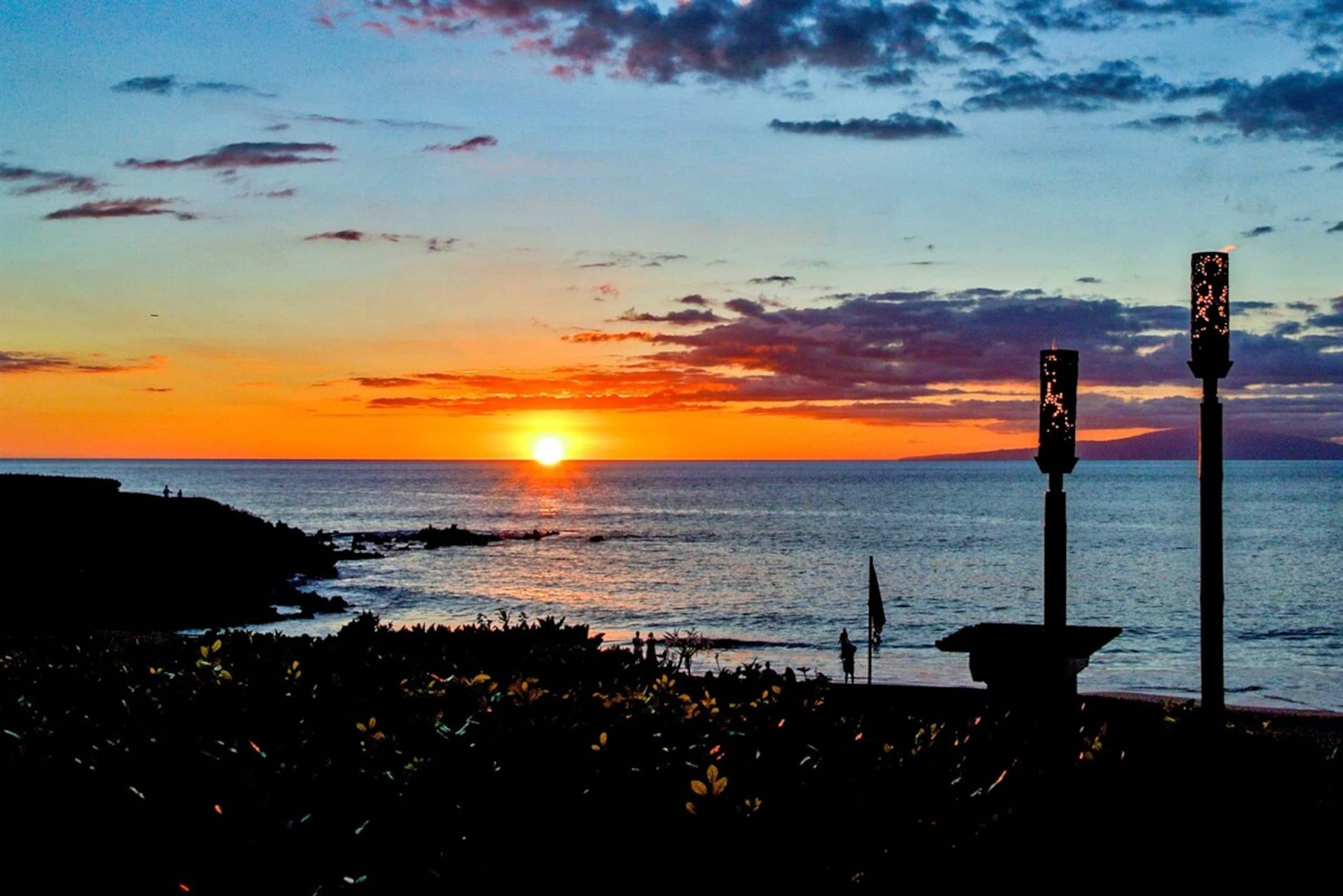 Best Beaches Remodeled End Unit for Luxury and Pr - Photo 43