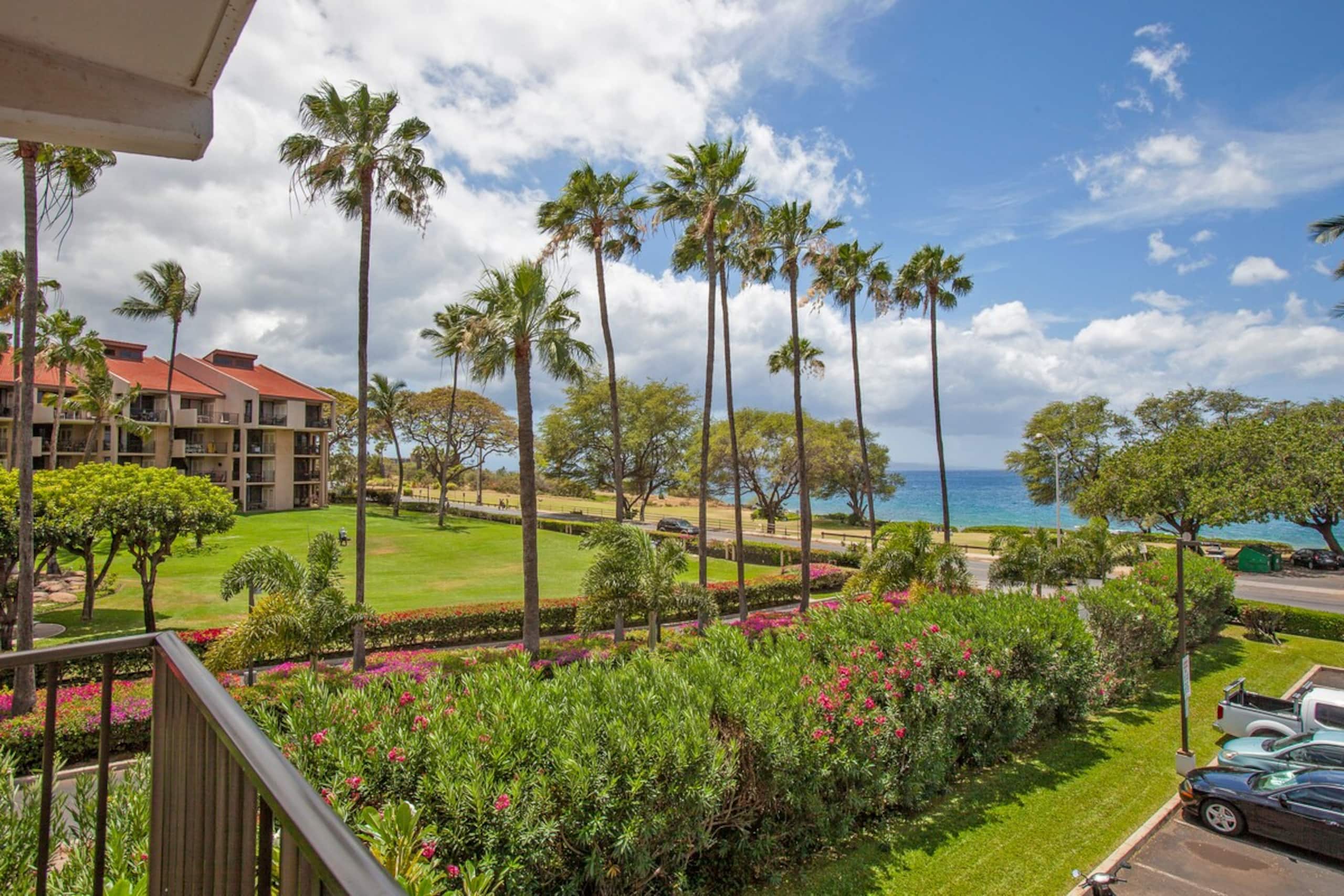 Ocean View Retreat with Pool - Photo 33