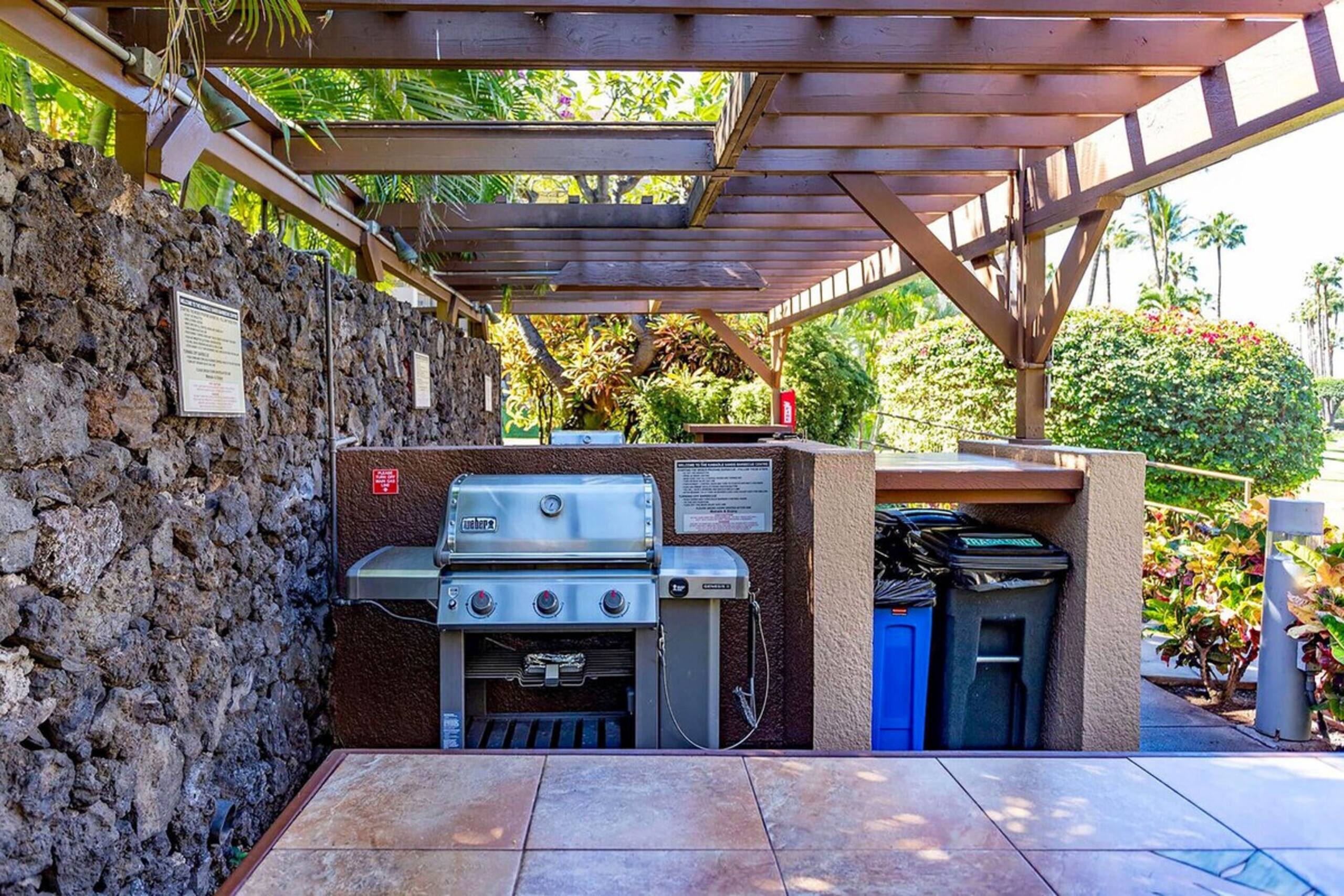 Kamaole Sands 1-403 - Spacious 2/2 with split AC - Photo 45