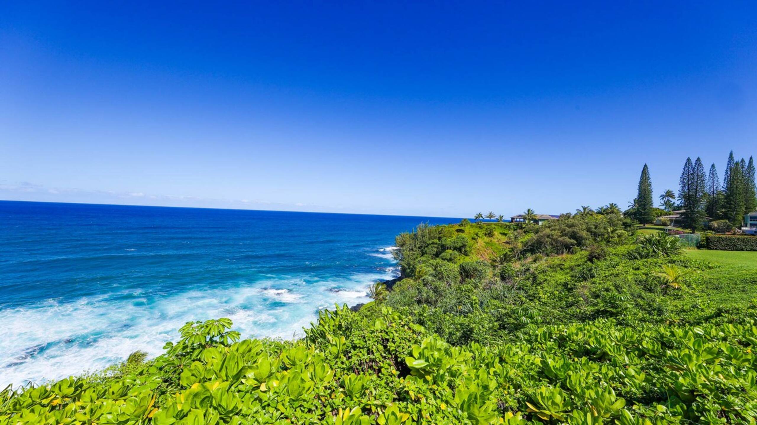 Romantic Island Condo *Jungle Views - Photo 36