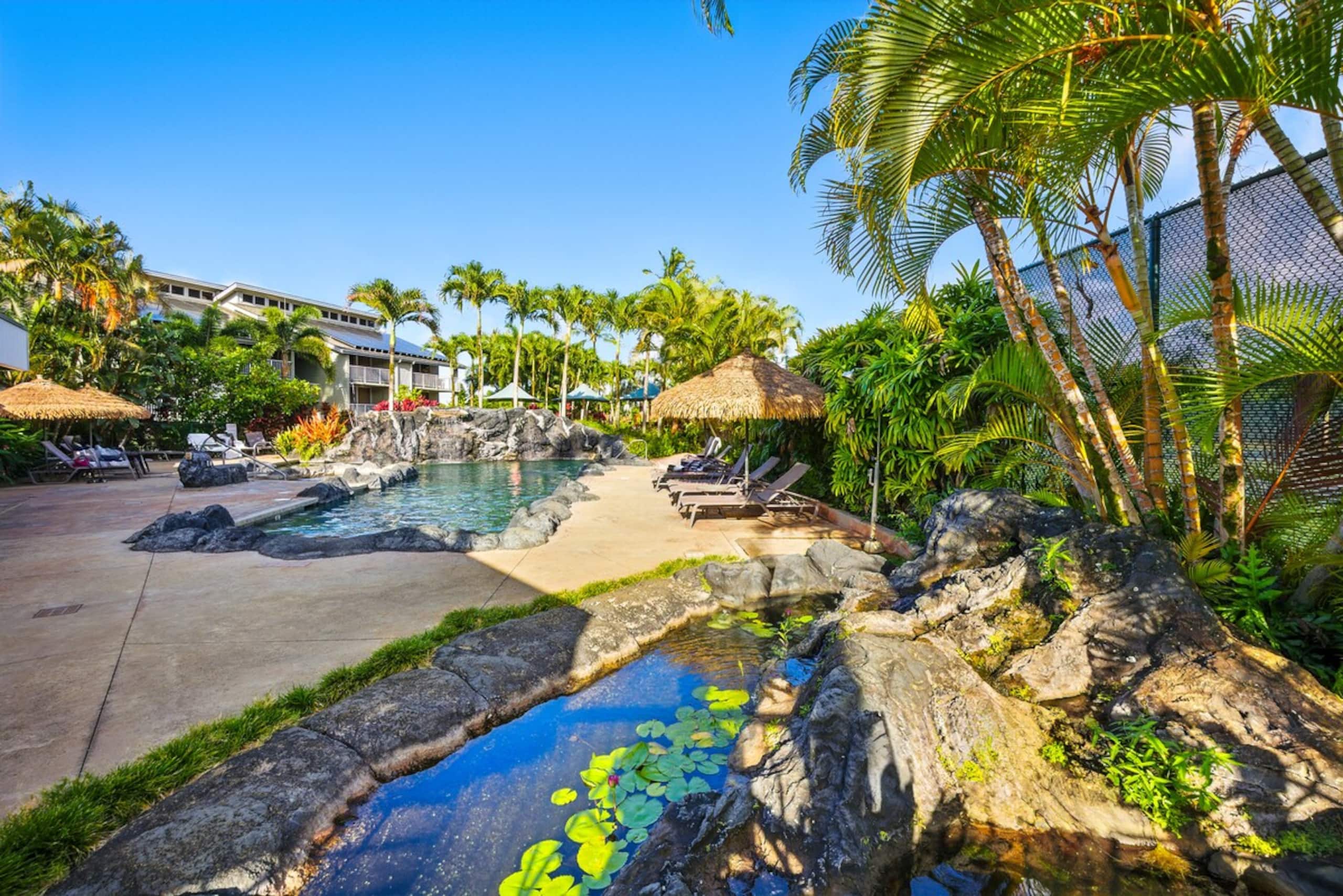 Romantic Island Condo *Jungle Views - Photo 40