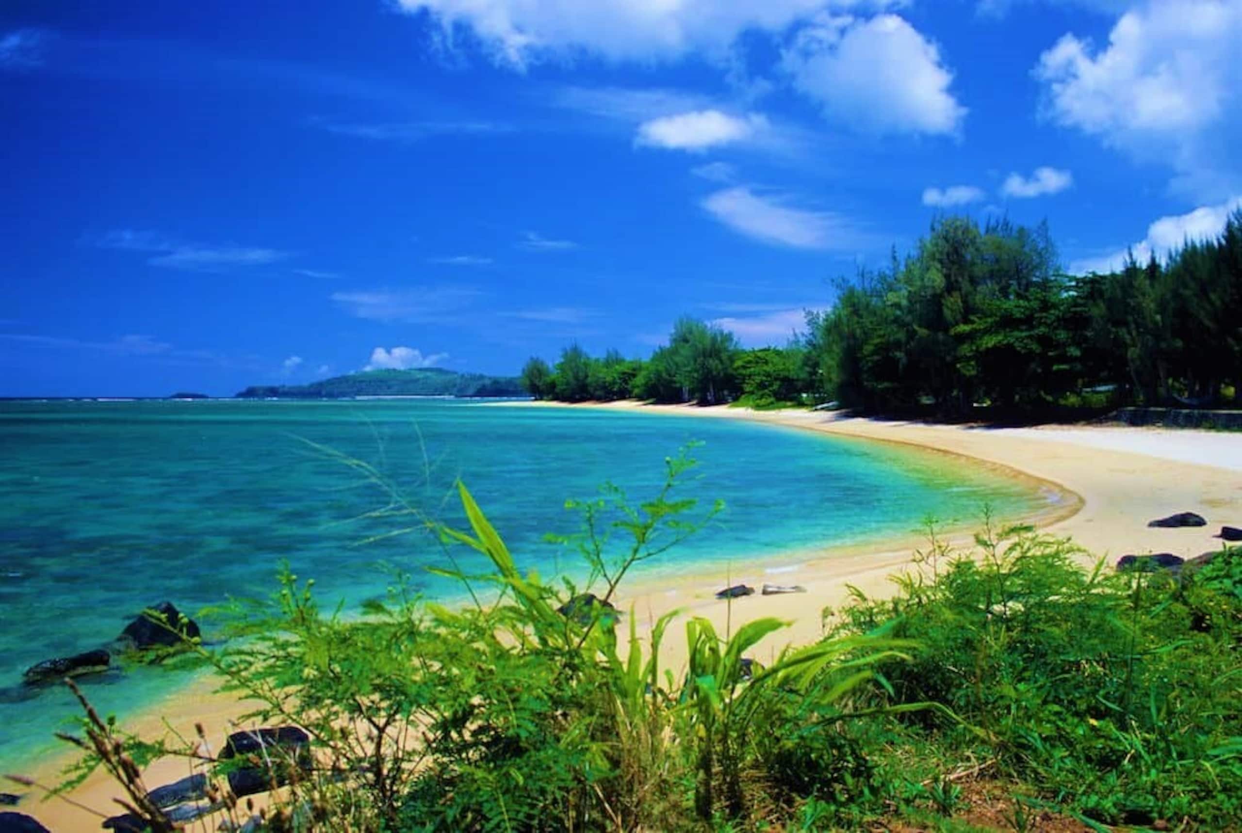 Romantic Island Condo *Jungle Views - Photo 48
