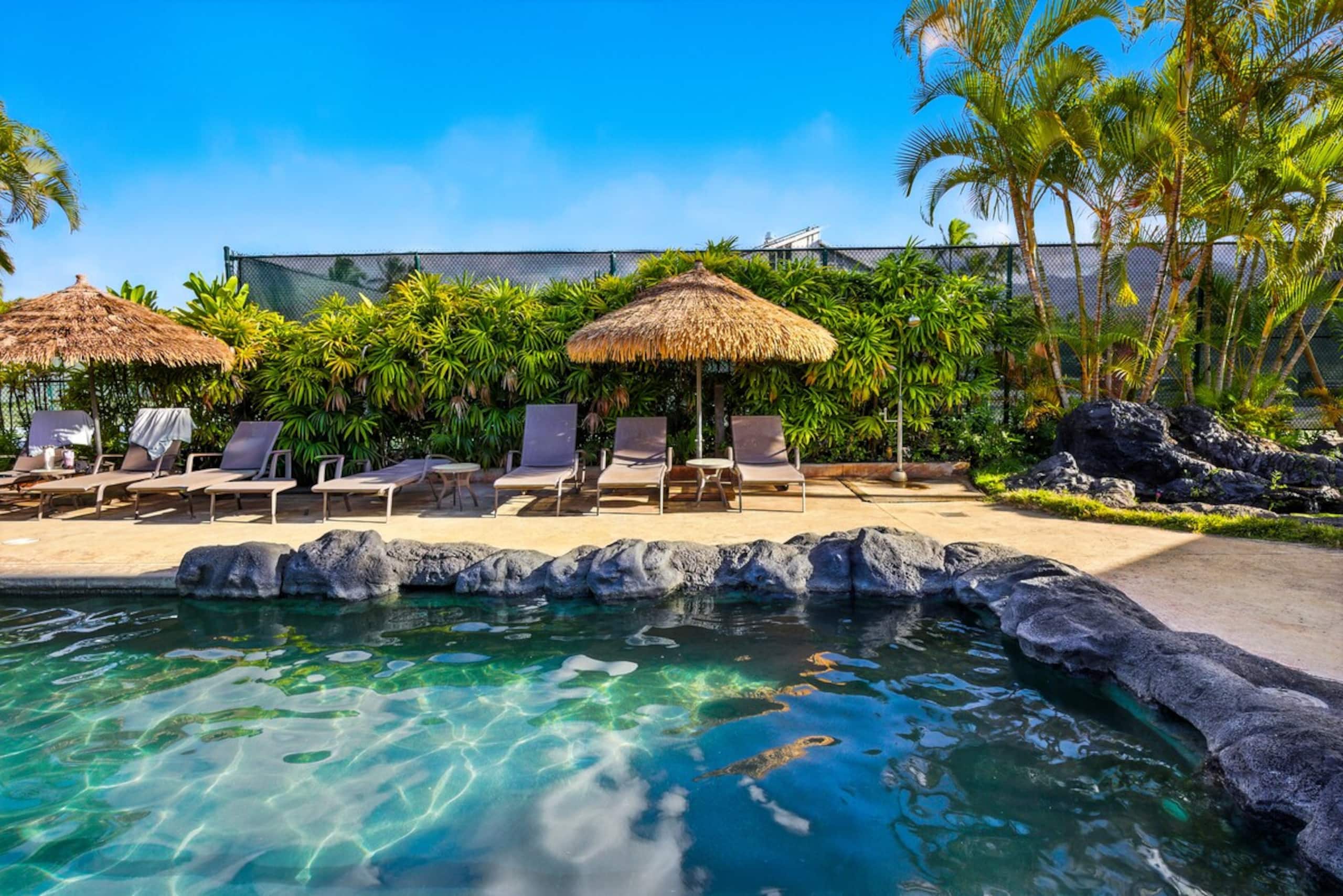 Romantic Island Condo *Jungle Views - Photo 43