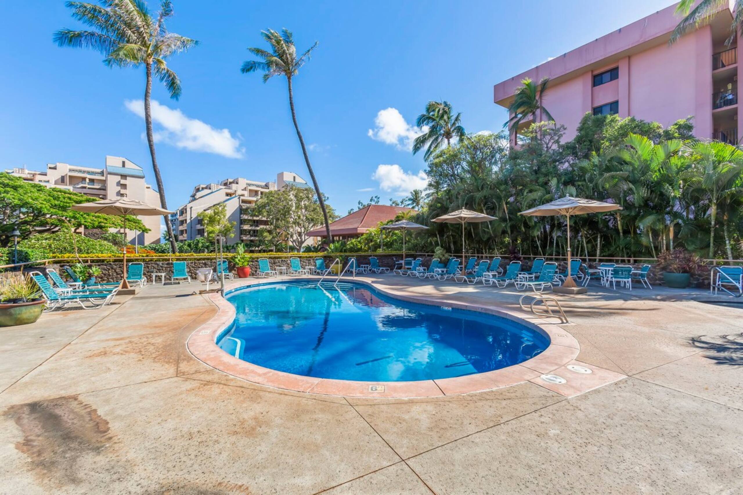 Partial Oceanview 2bed condo, across st from ocean - Photo 40