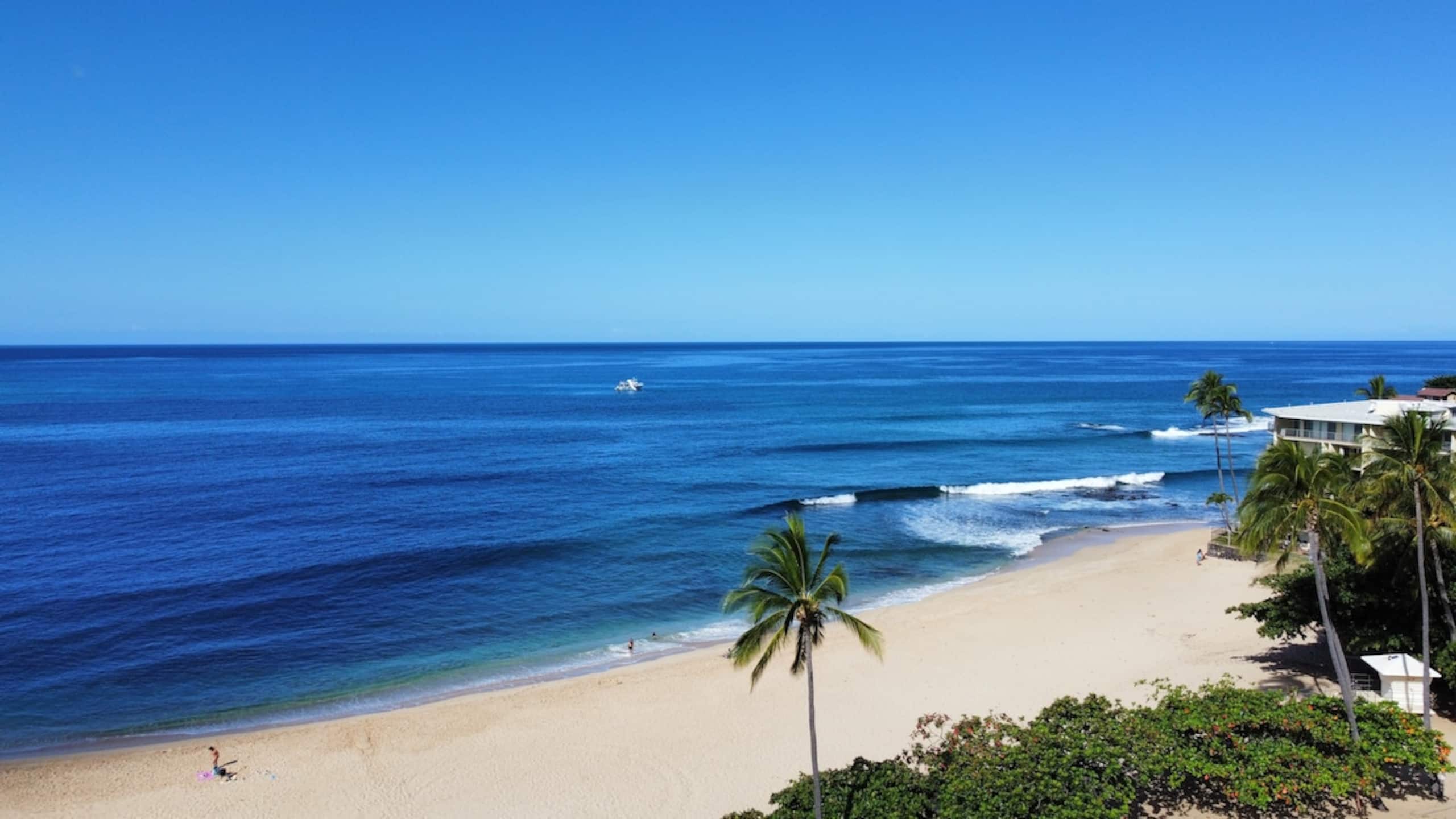 4 BR, Near Beach, Pool/Spa, Gym, BBQ, Free Prkng - Photo 42