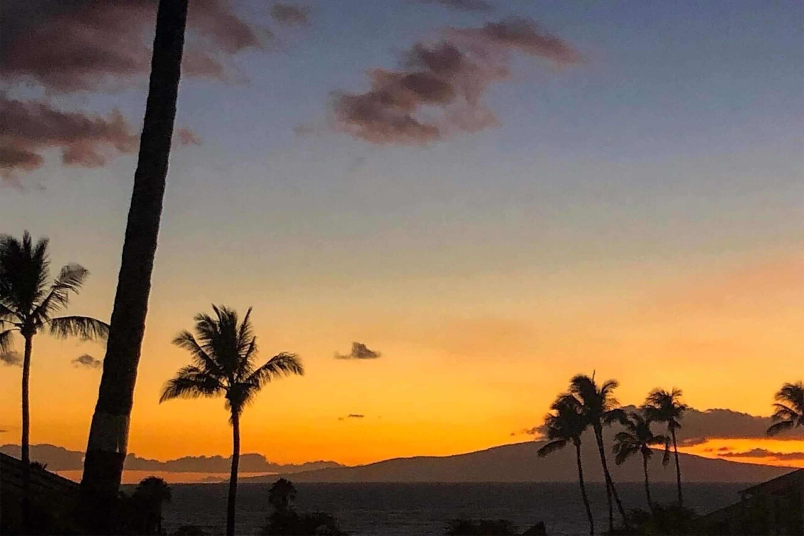 Hale Kamaole 150, Beautiful Renovation, Split AC - Photo 41