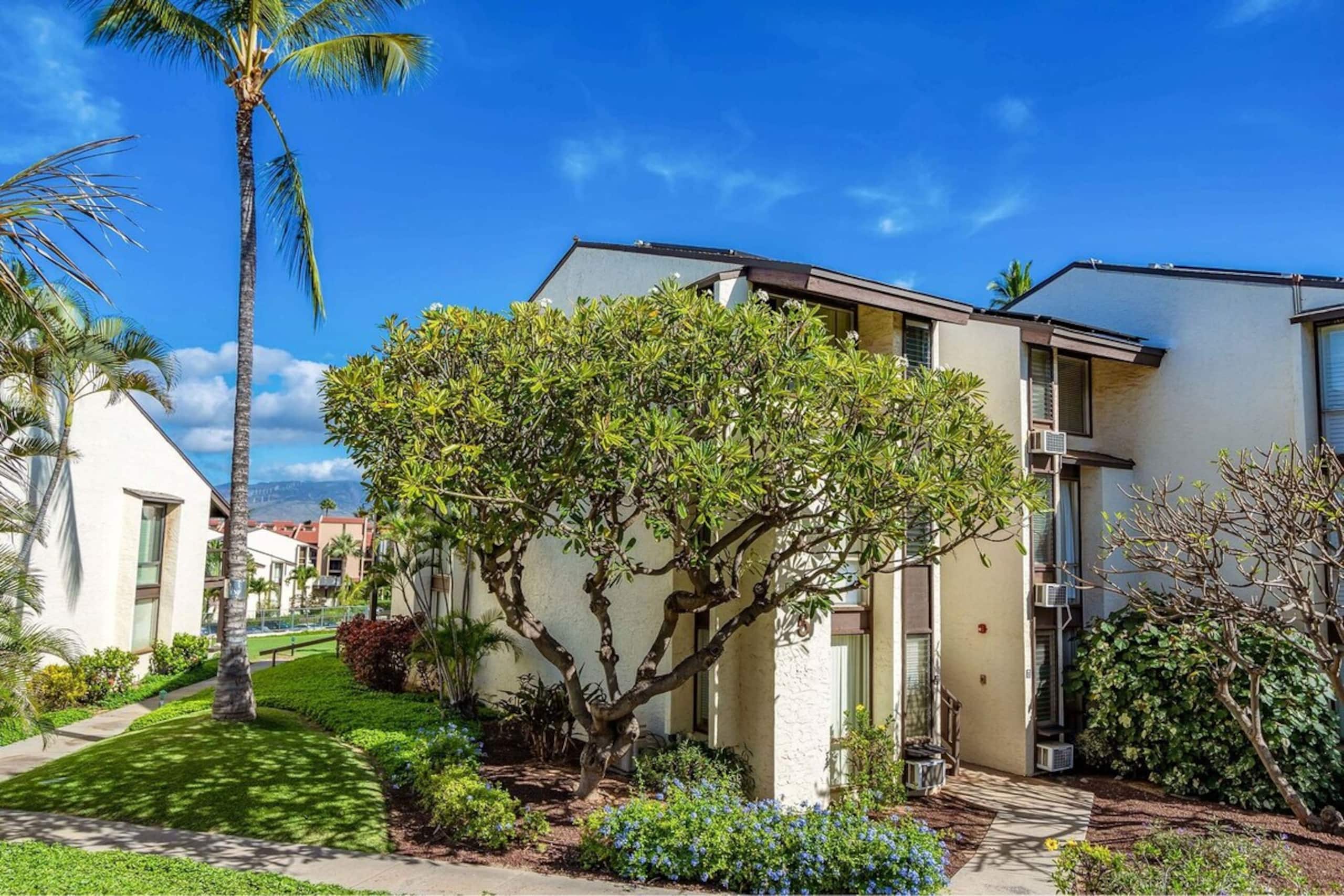 Hale Kamaole 150, Beautiful Renovation, Split AC - Photo 35